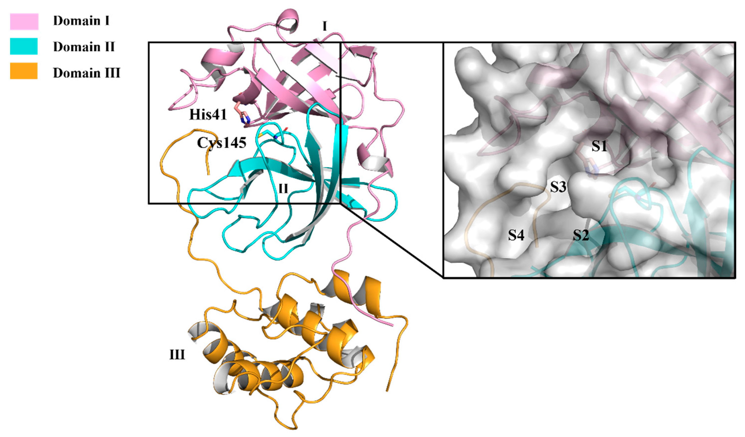 Molecules 30 00351 g004