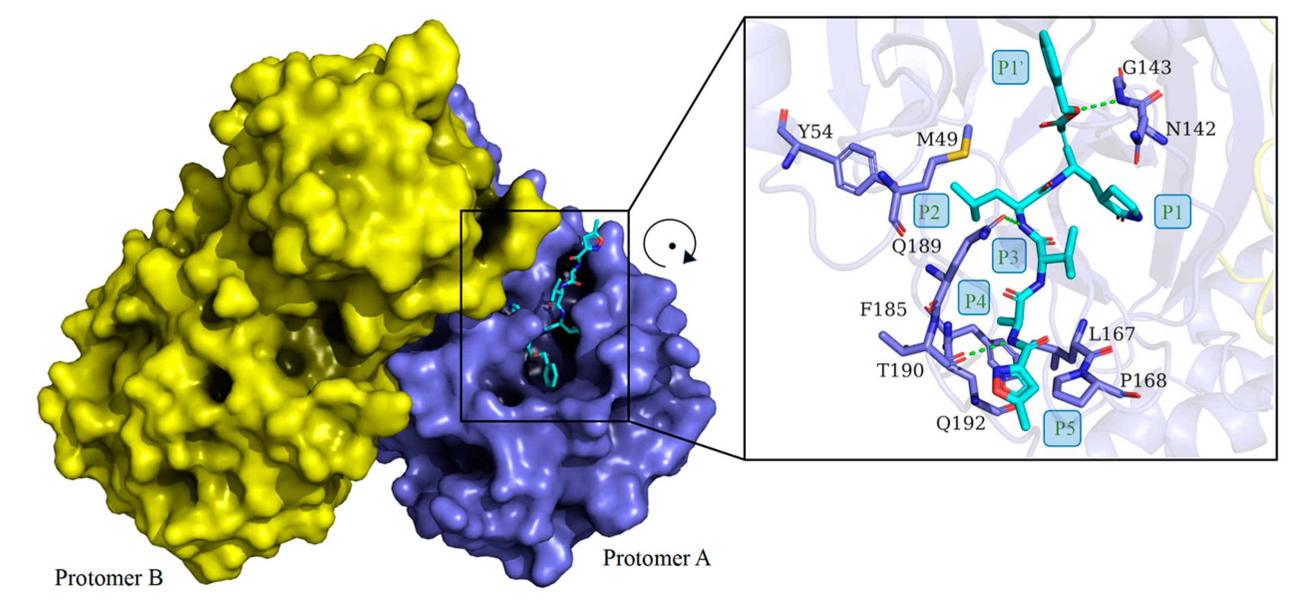 Molecules 30 00351 g005