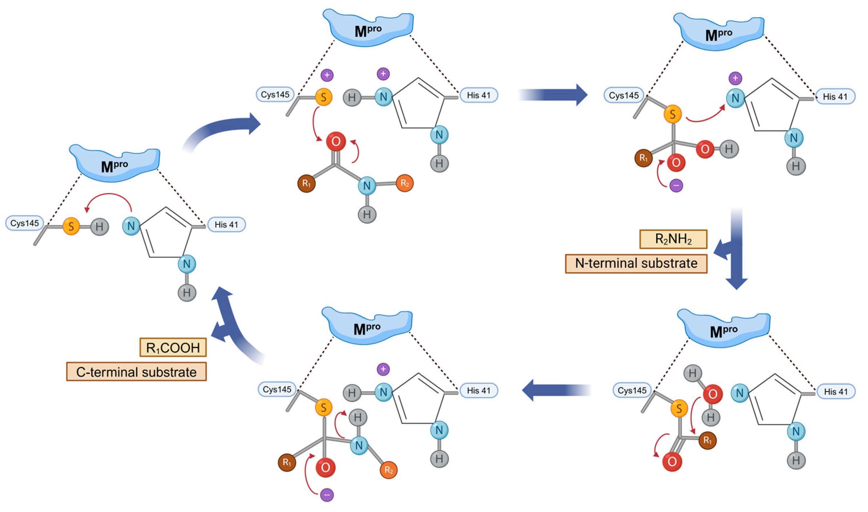 Molecules 30 00351 g006