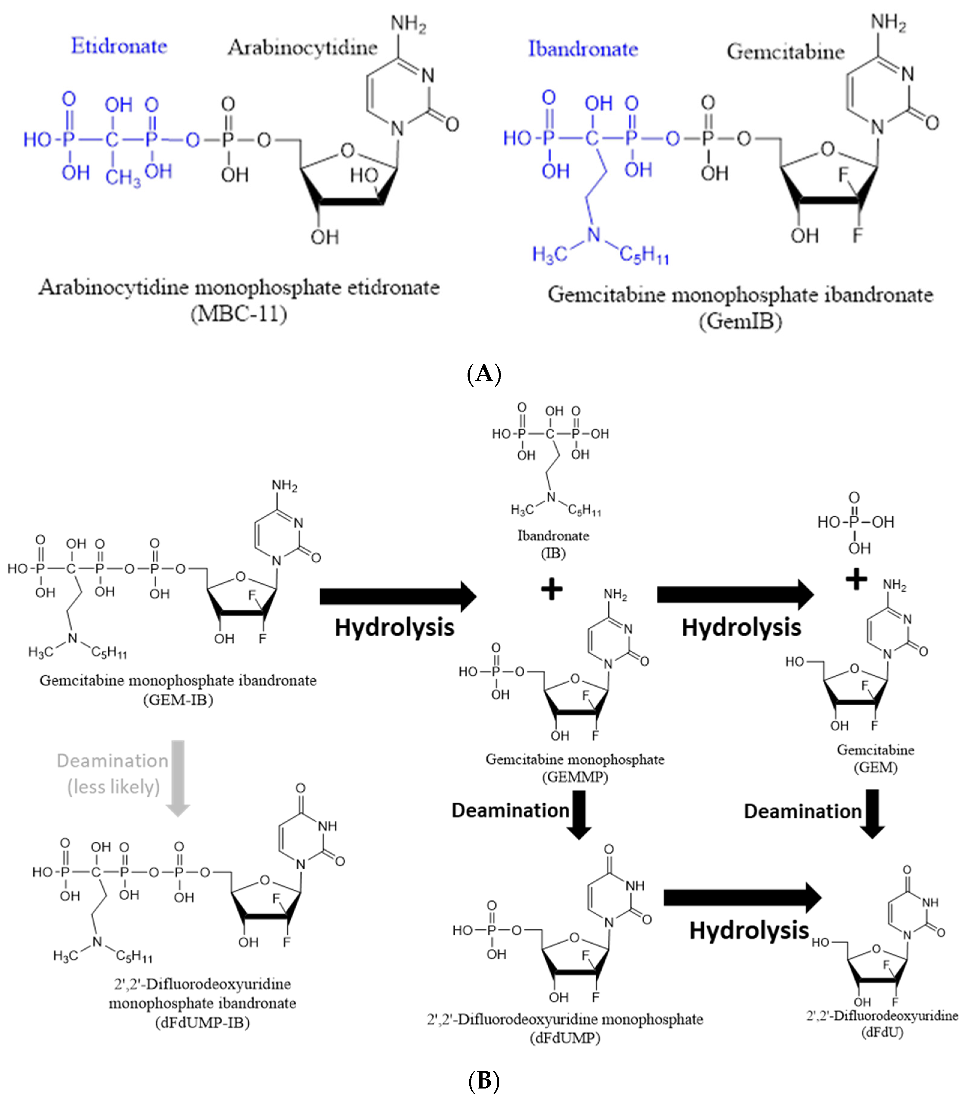 Molecules 30 00354 g001