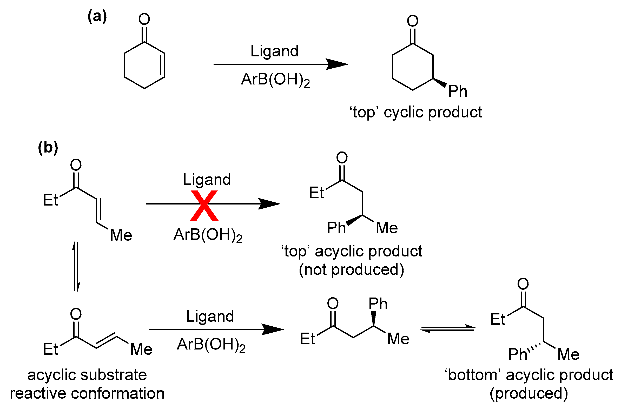 Molecules 30 00355 g002 Molecules 30 00355 g002