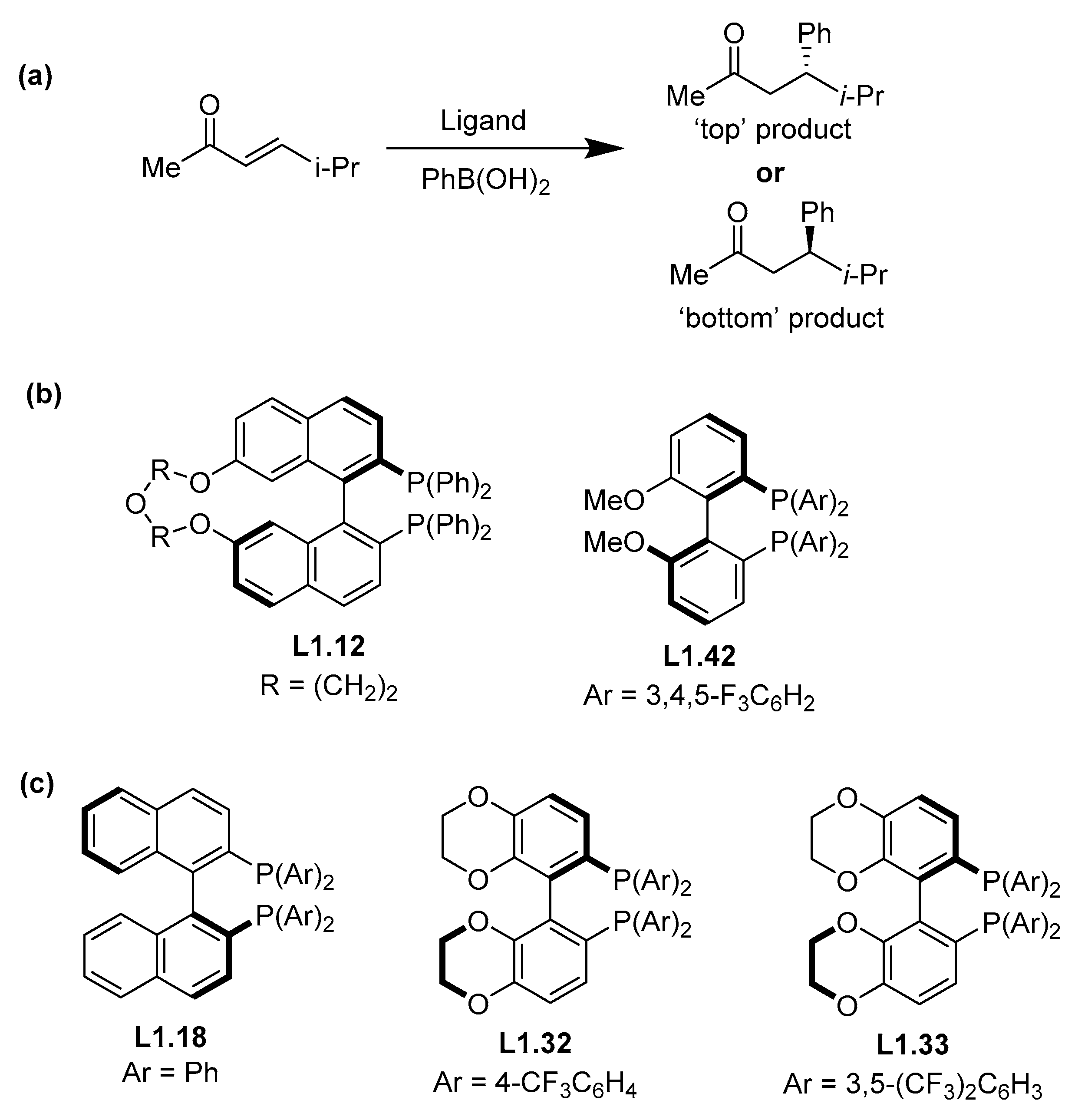 Molecules 30 00355 g007 Molecules 30 00355 g007