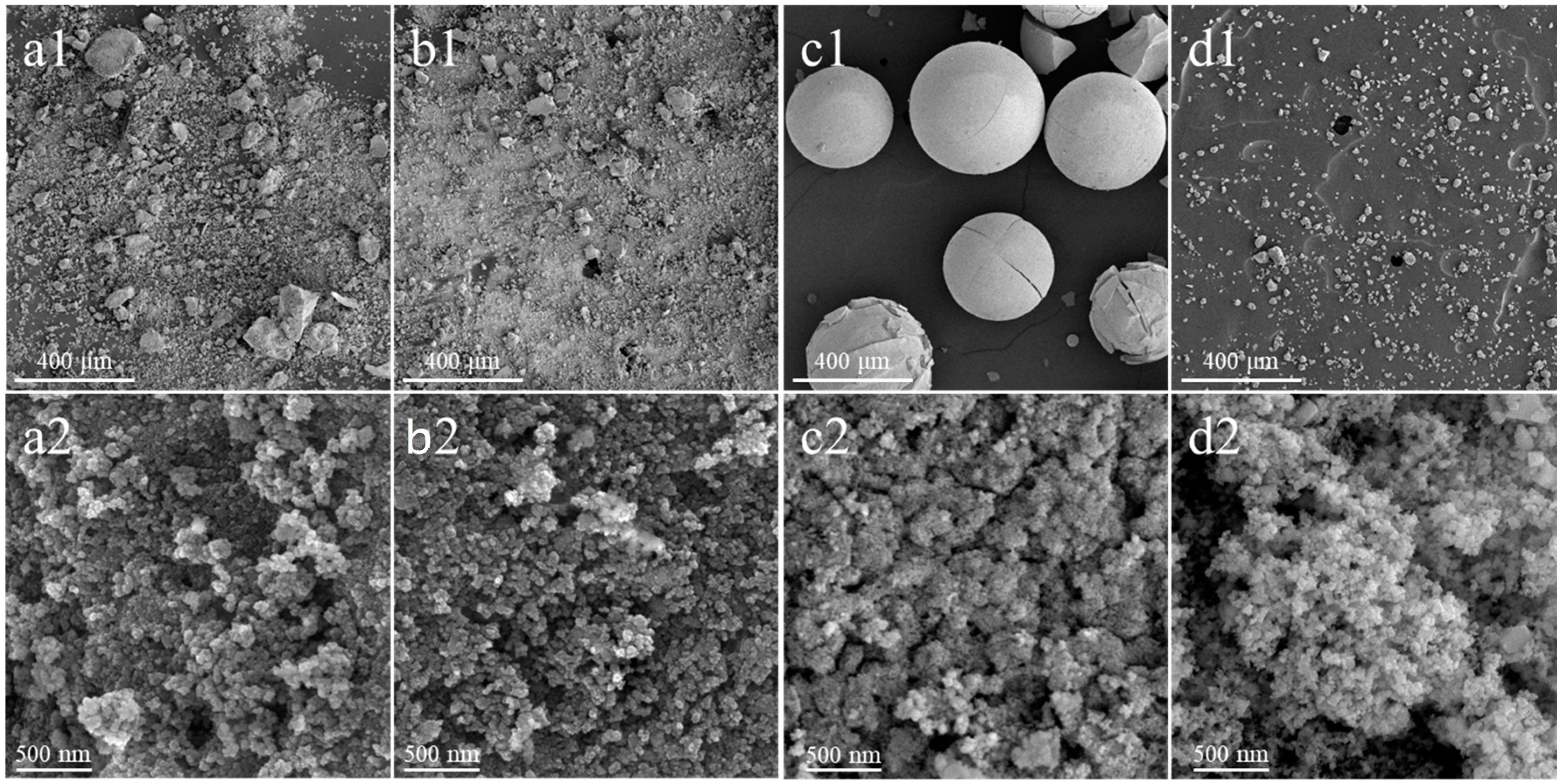 Molecules 30 00358 g002