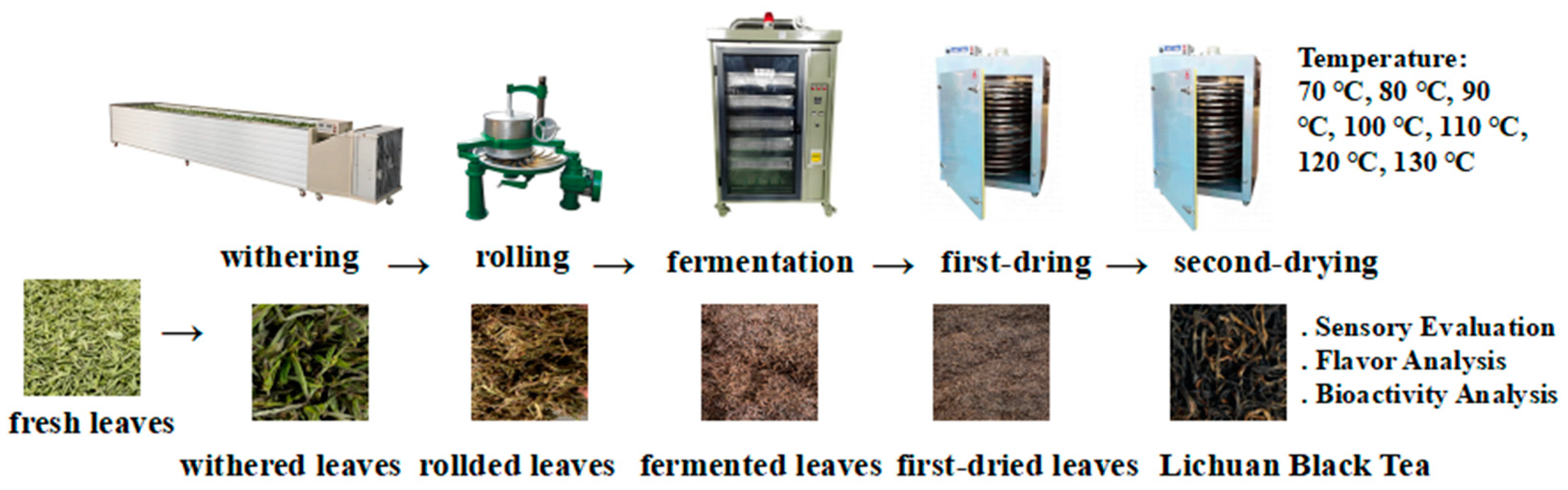 Molecules 30 00361 g003