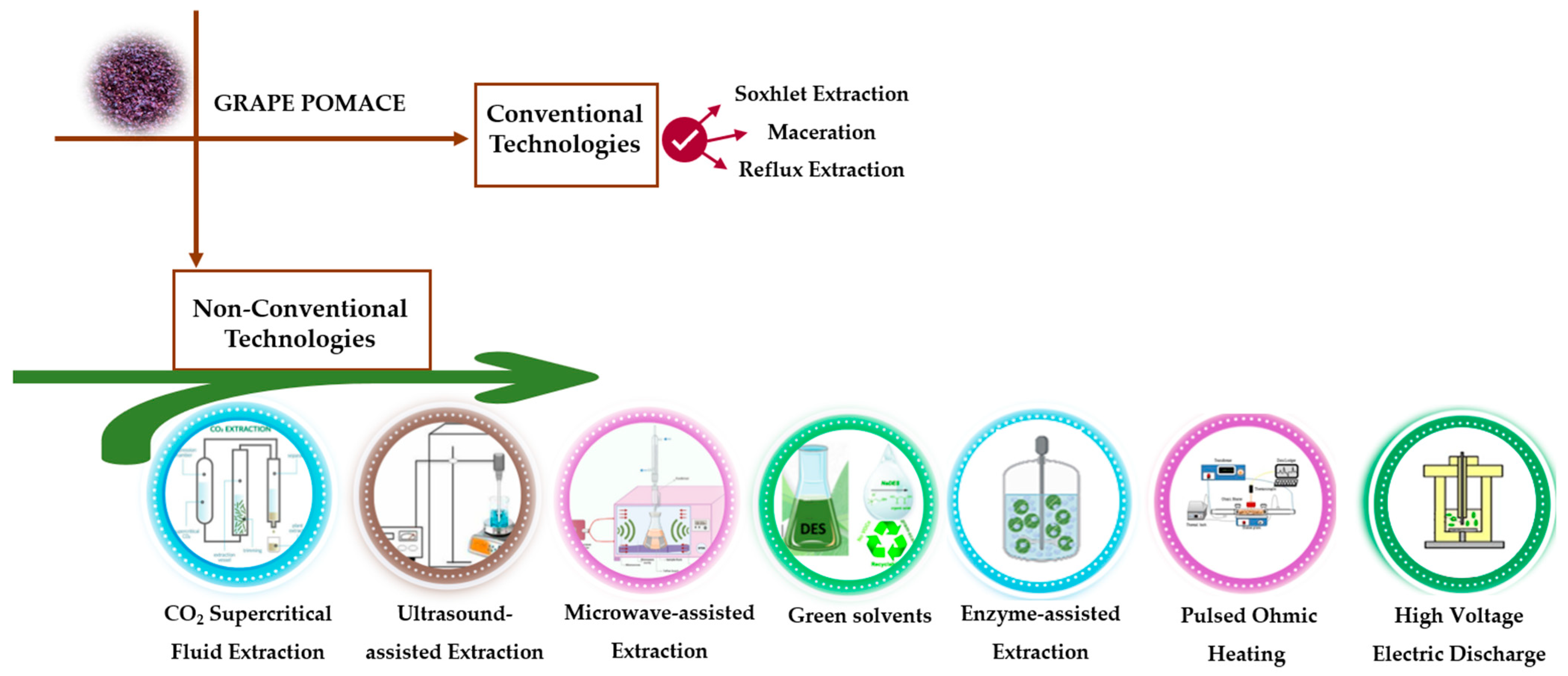 Molecules 30 00362 g002