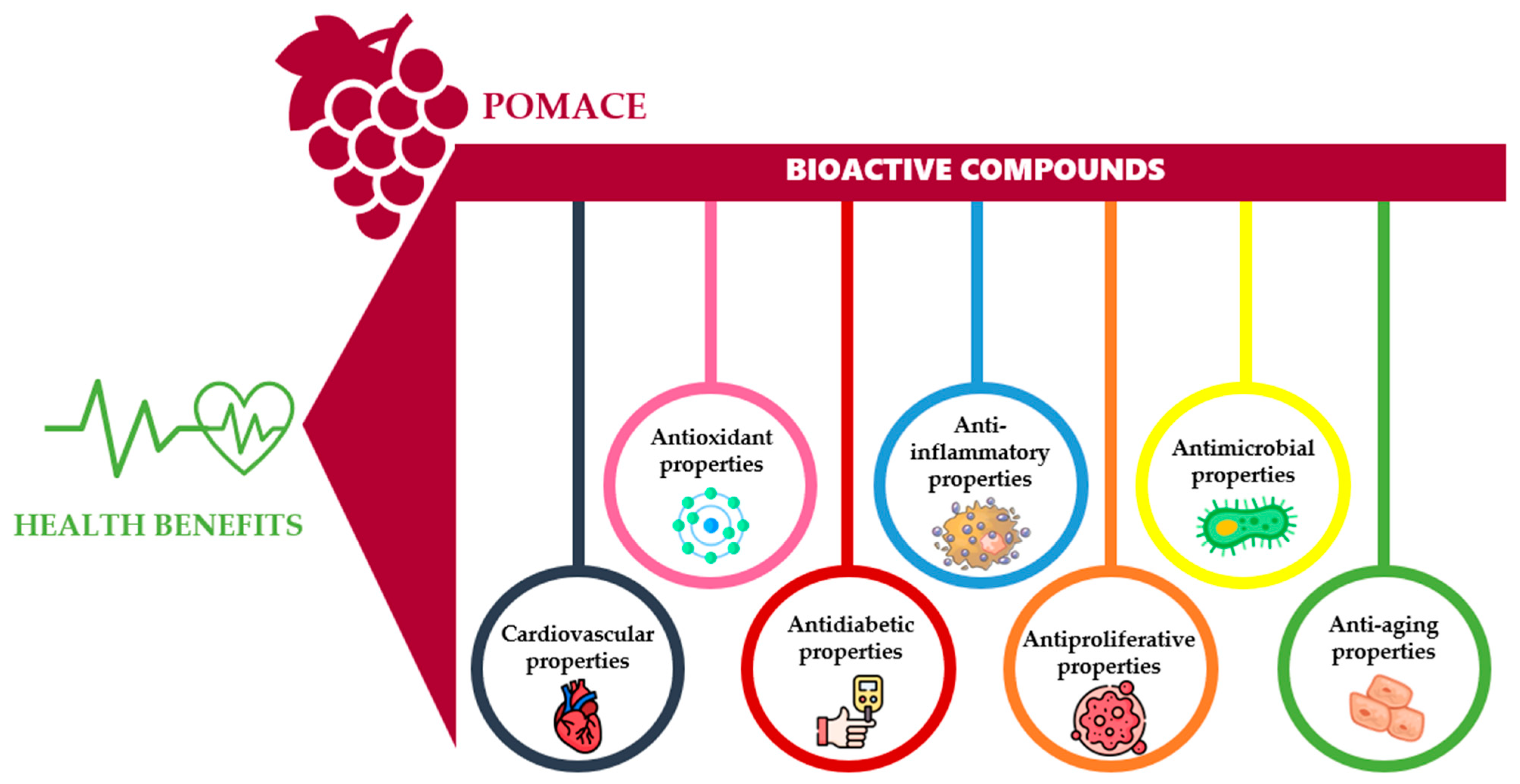 Molecules 30 00362 g003