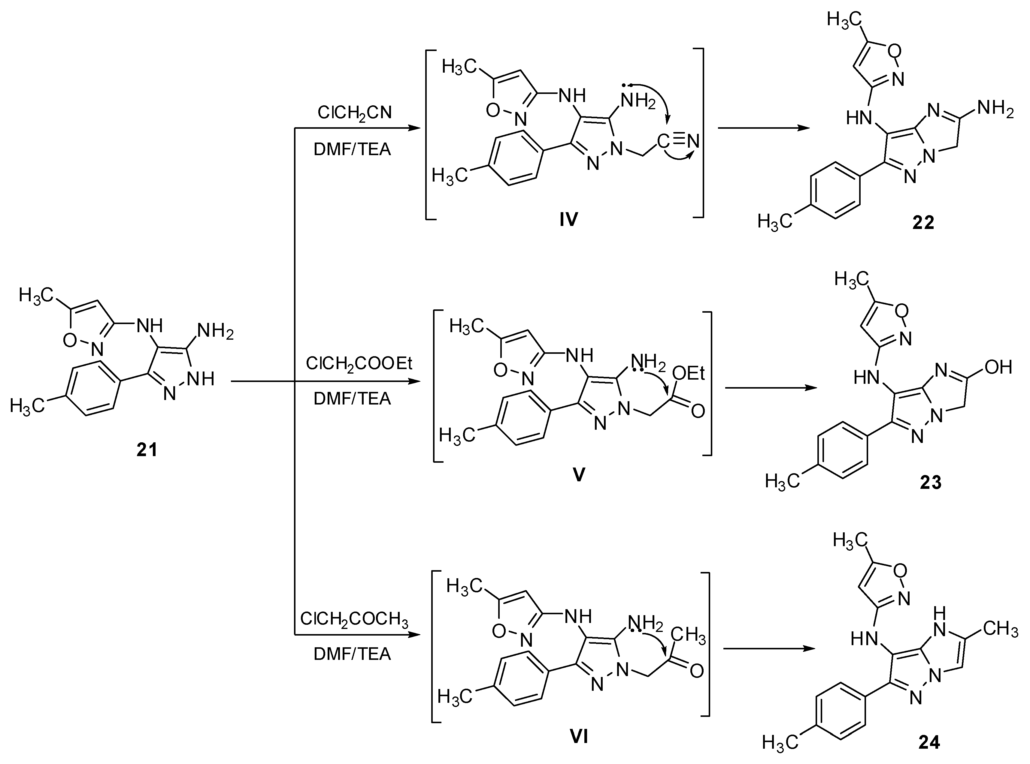 Molecules 30 00366 sch009 Molecules 30 00366 sch009