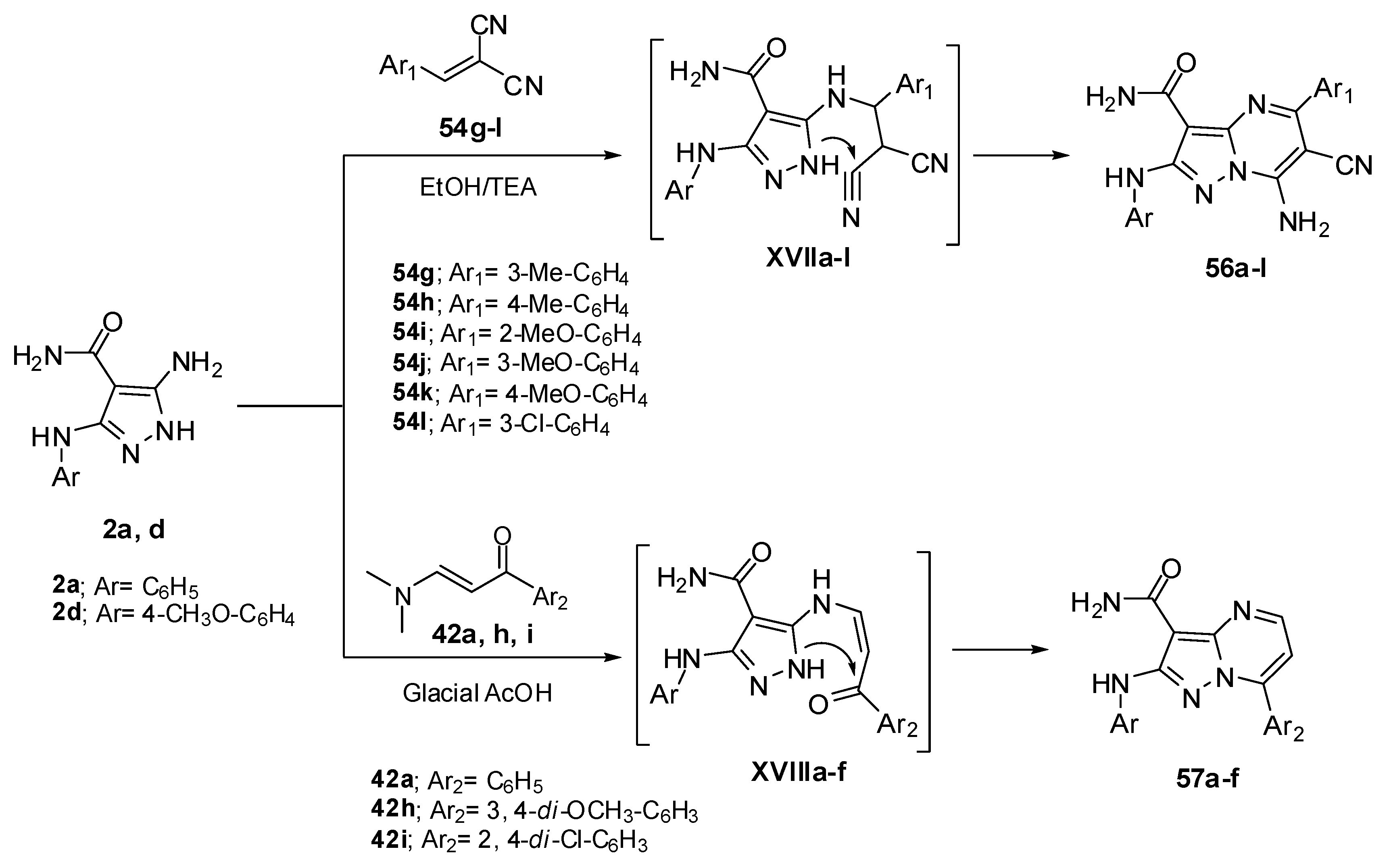 Molecules 30 00366 sch019 Molecules 30 00366 sch019