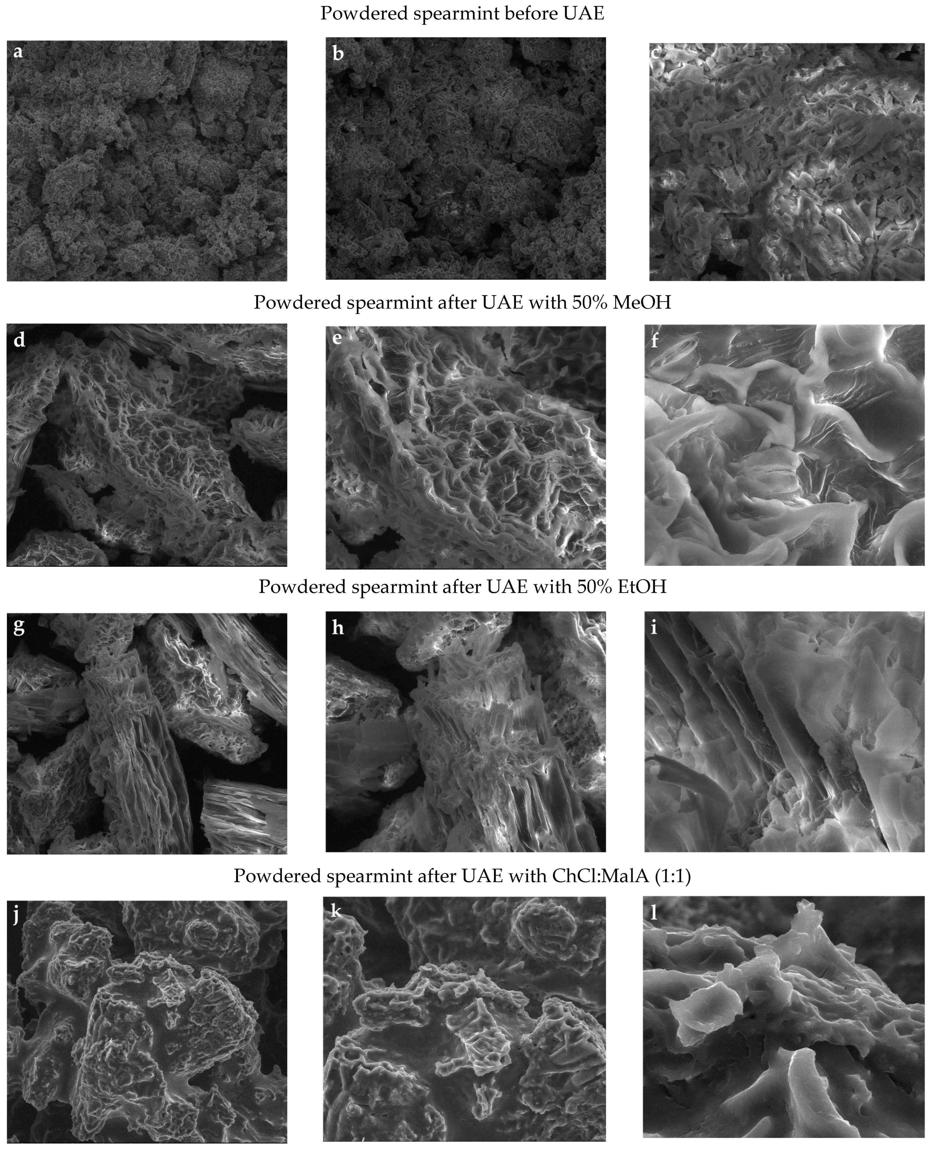 Molecules 30 00368 g001