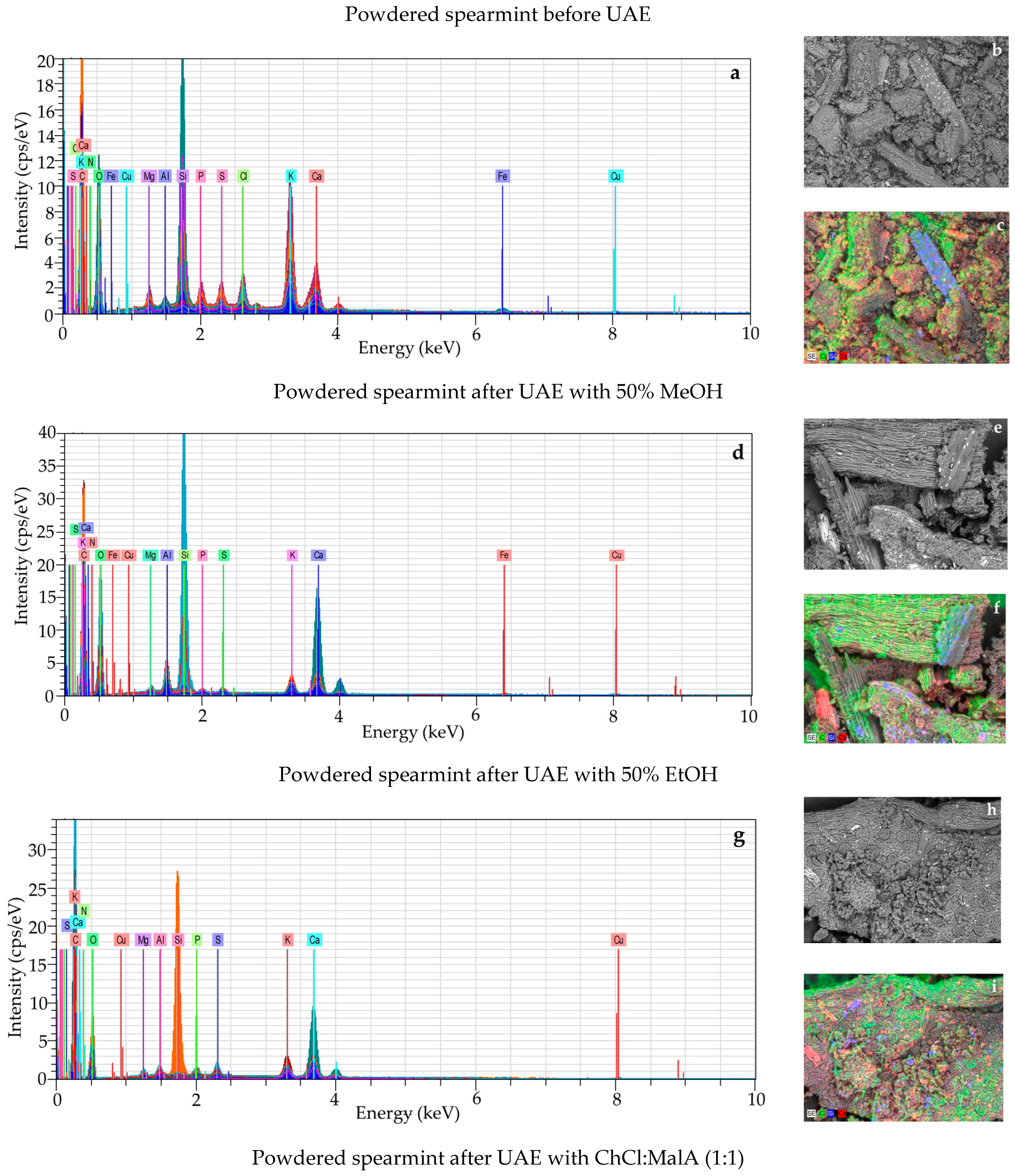 Molecules 30 00368 g002a