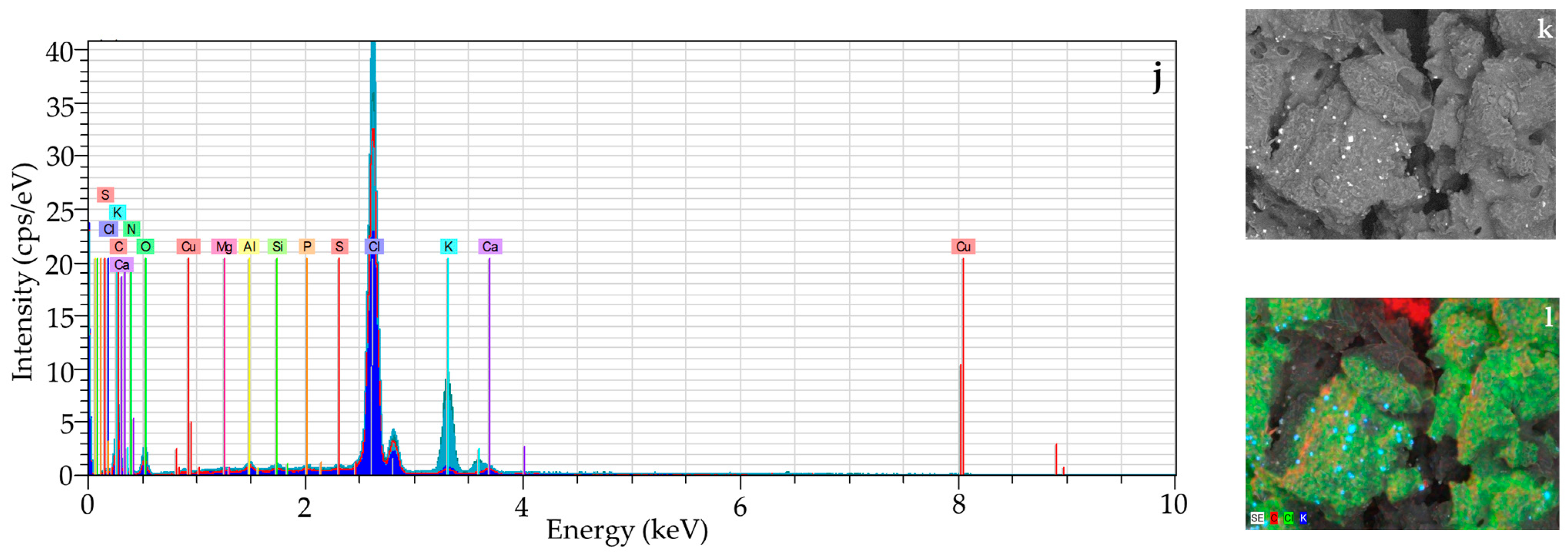 Molecules 30 00368 g002b