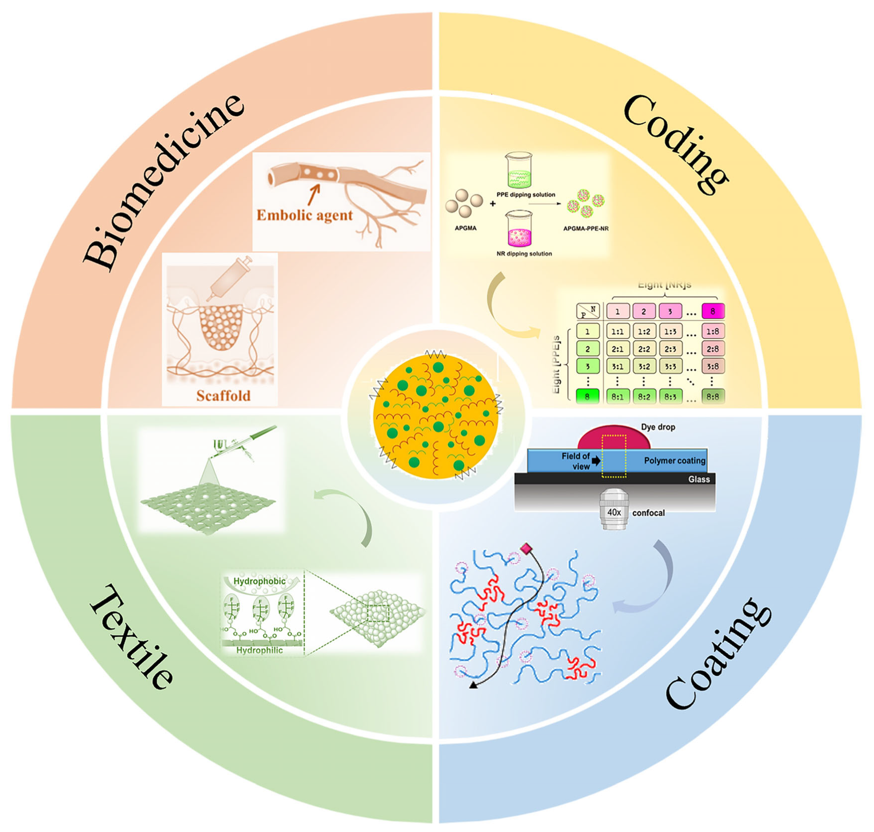 Molecules 30 00375 g001