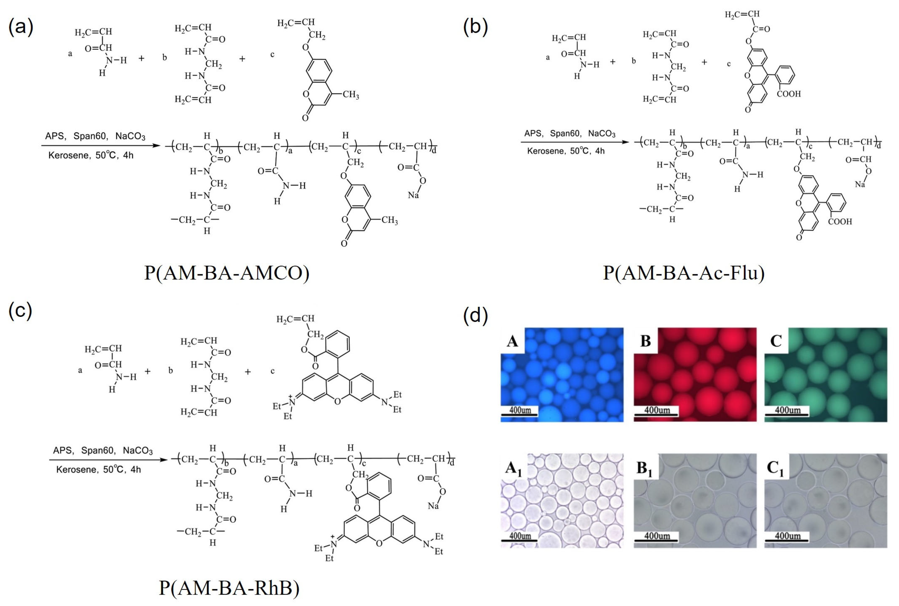 Molecules 30 00375 g003