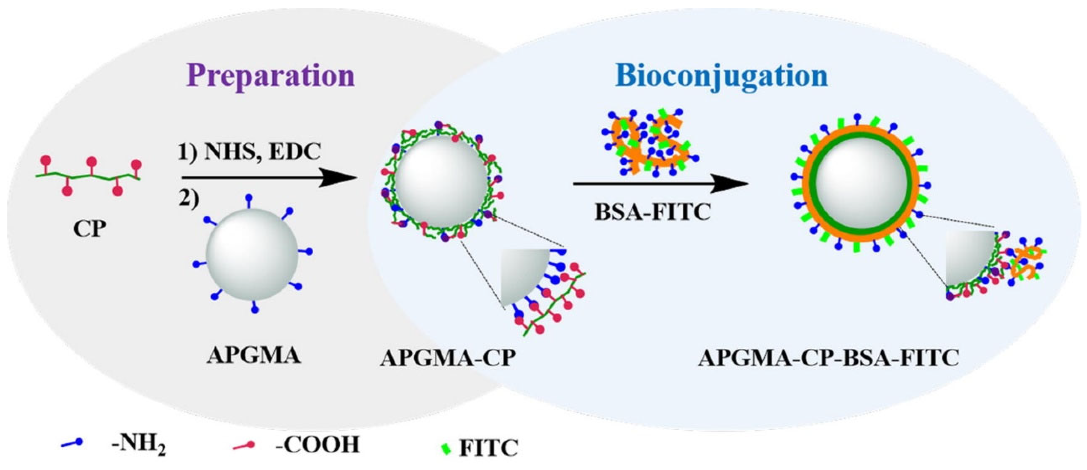 Molecules 30 00375 g006