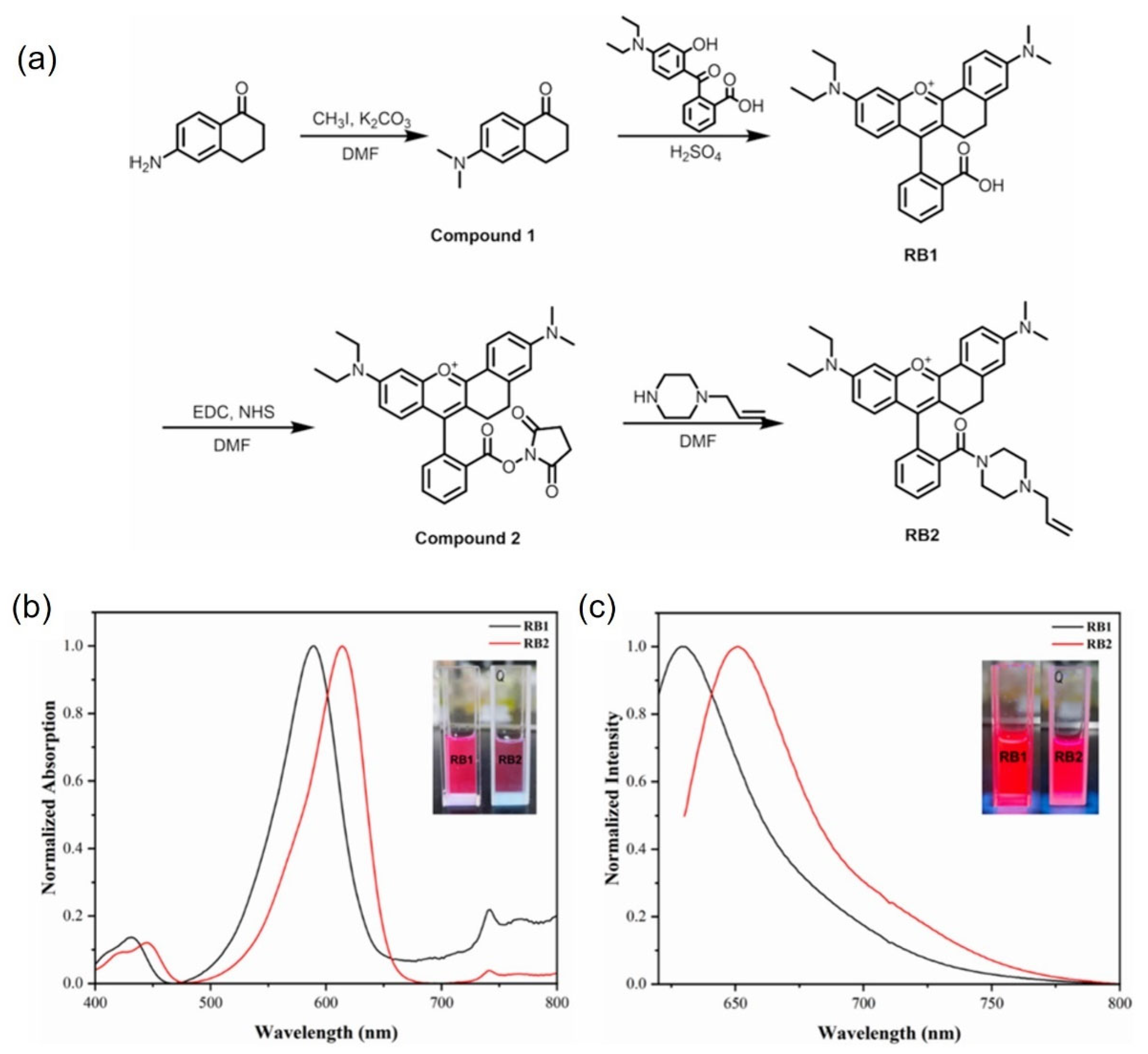 Molecules 30 00375 g010