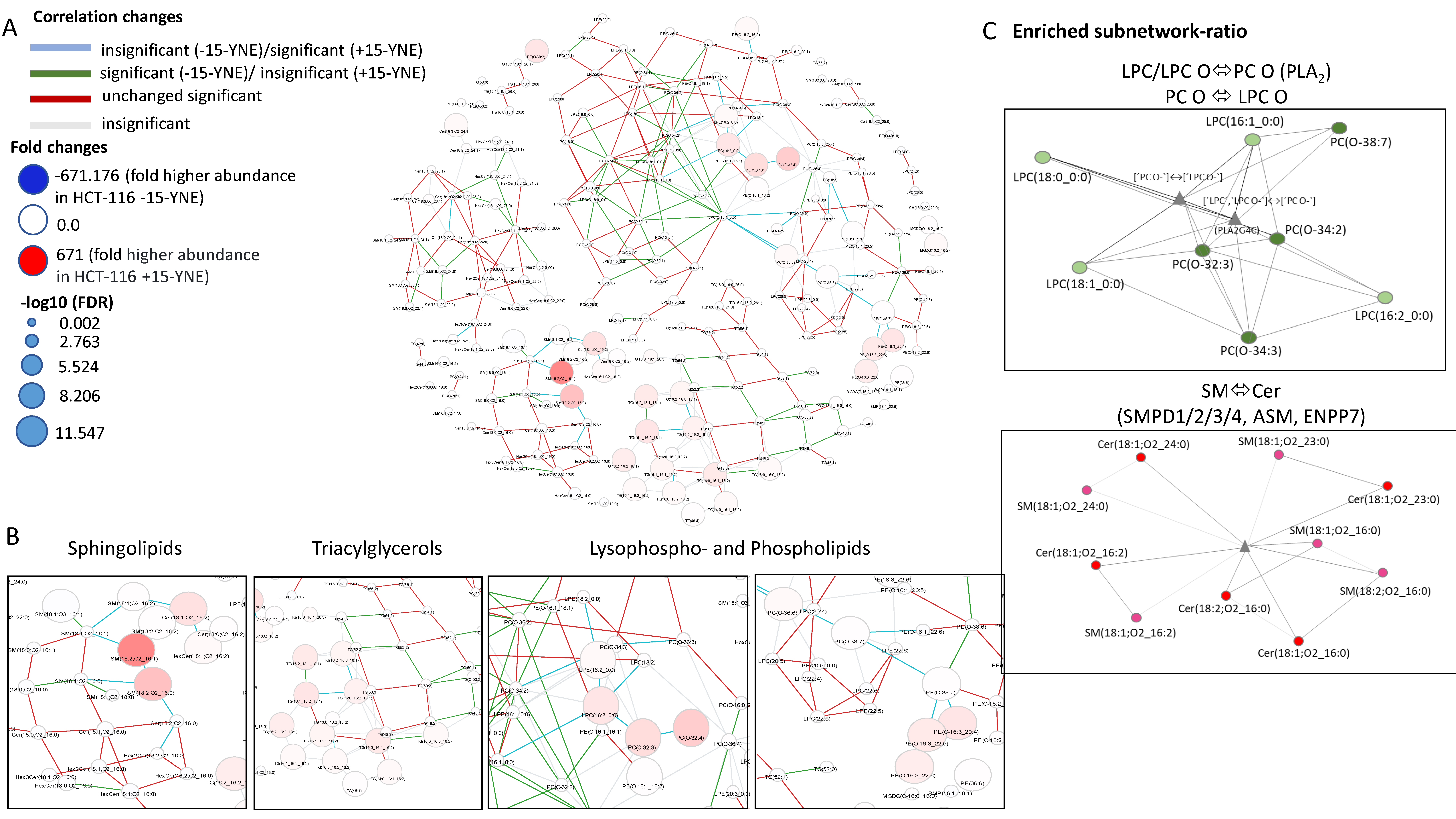 Molecules 30 00377 g006