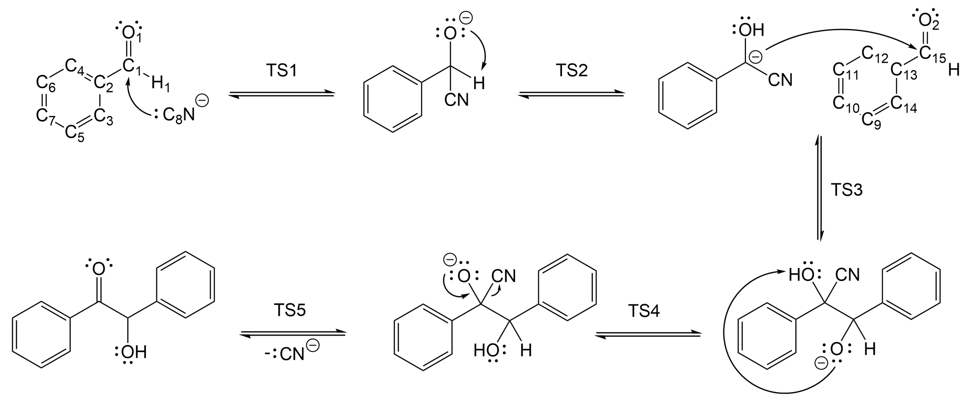 Molecules 30 00378 g001