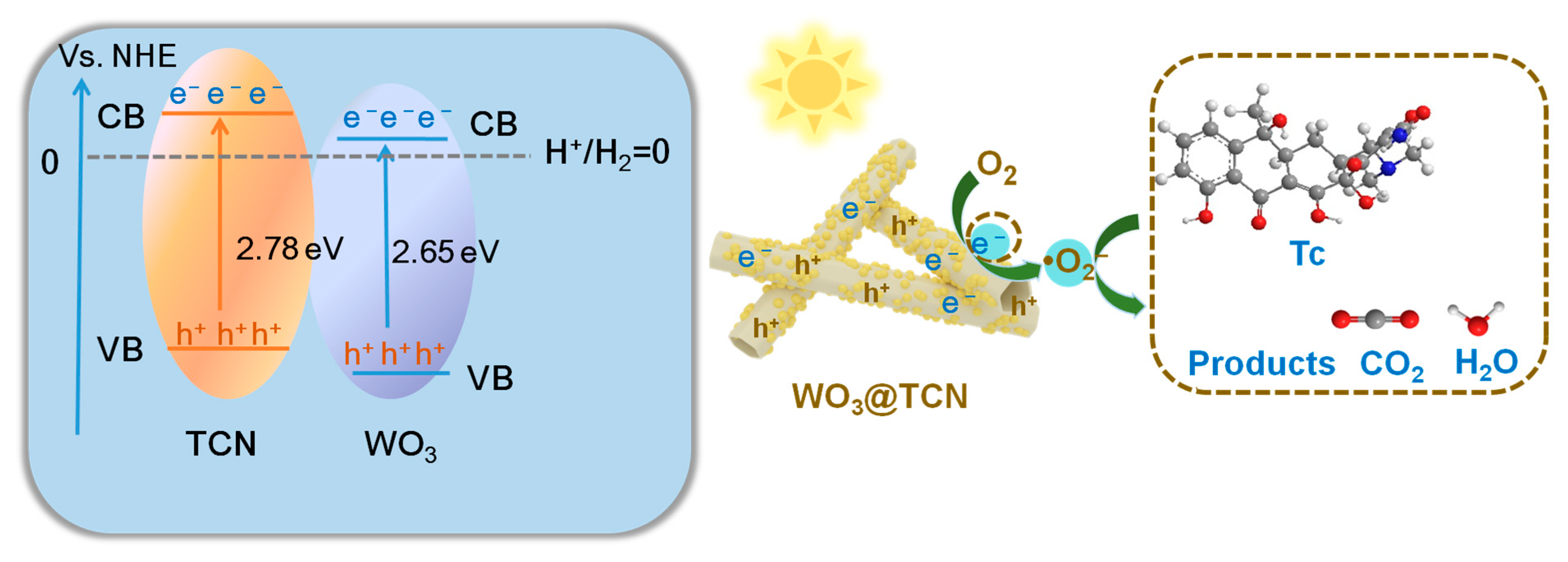 Molecules 30 00379 g007