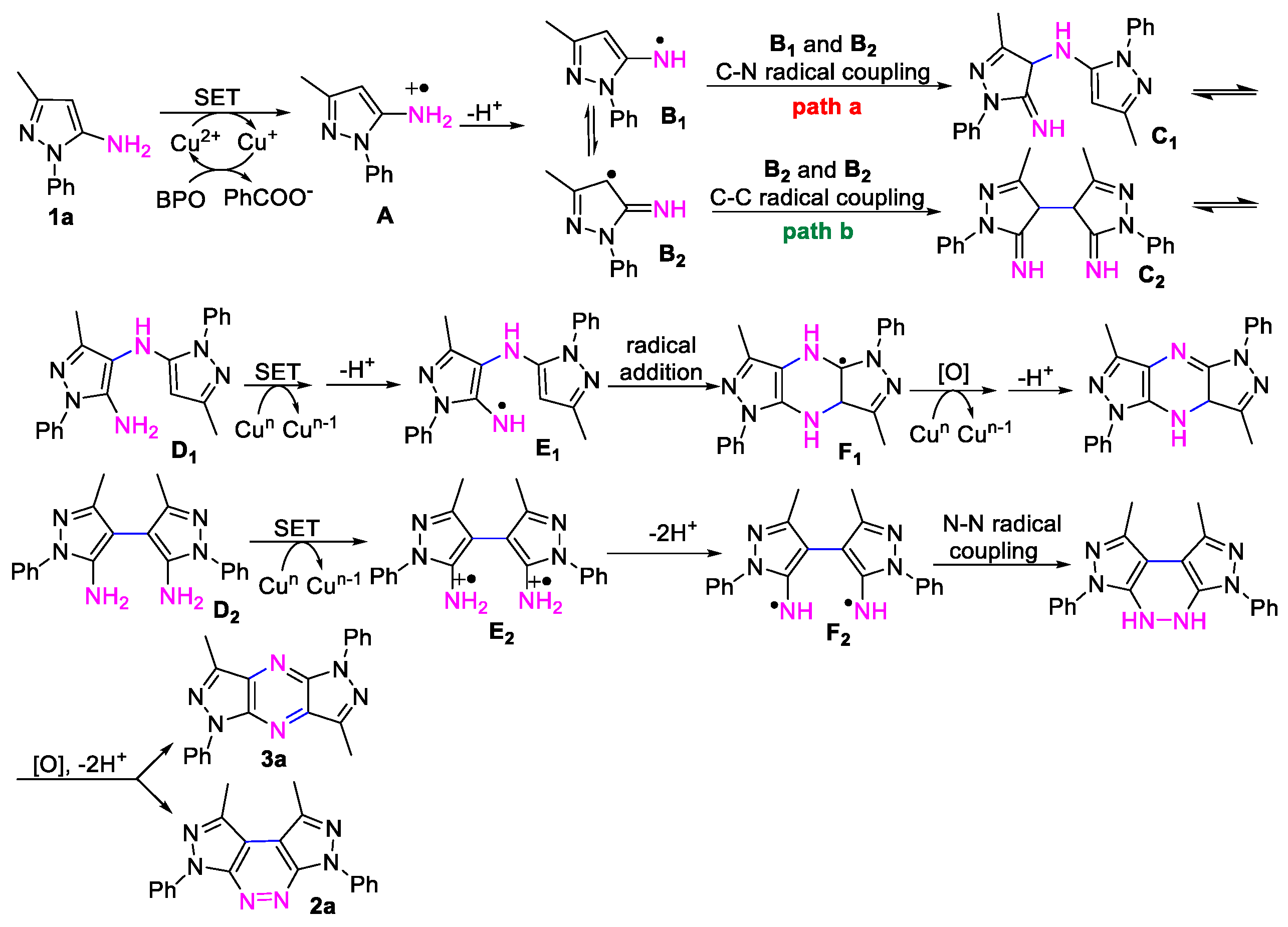 Molecules 30 00381 sch003