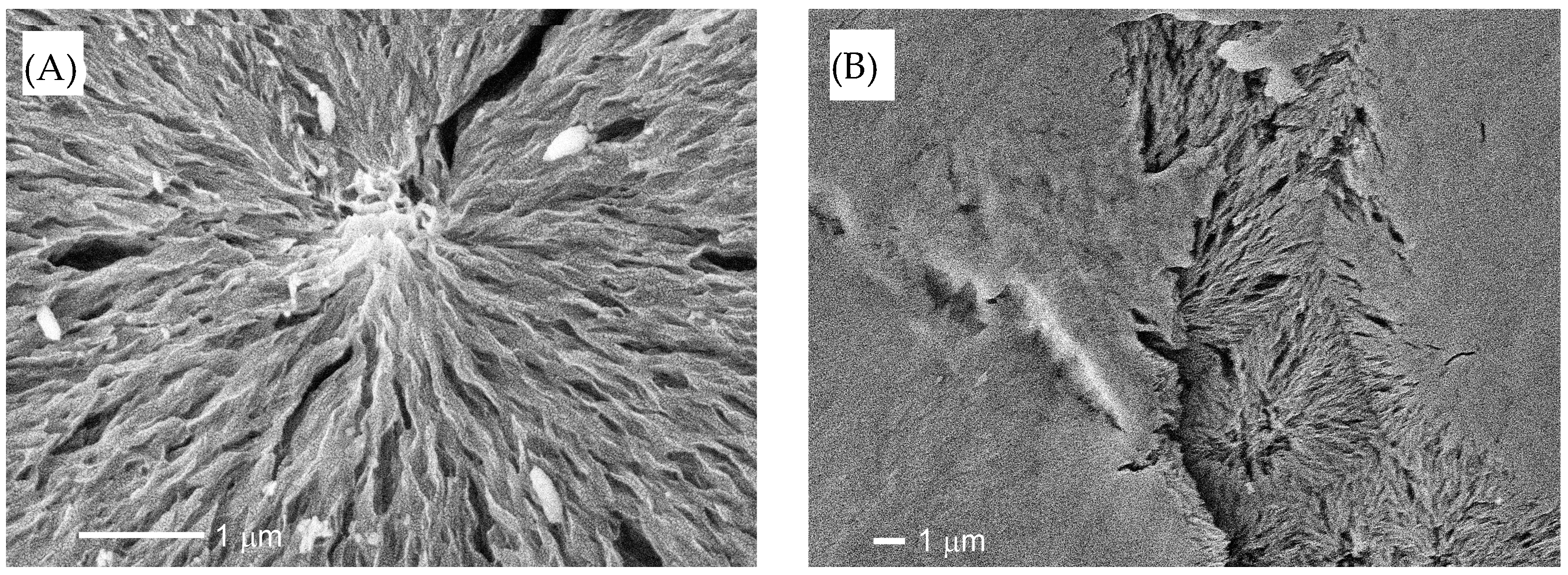 Molecules 30 00382 g002