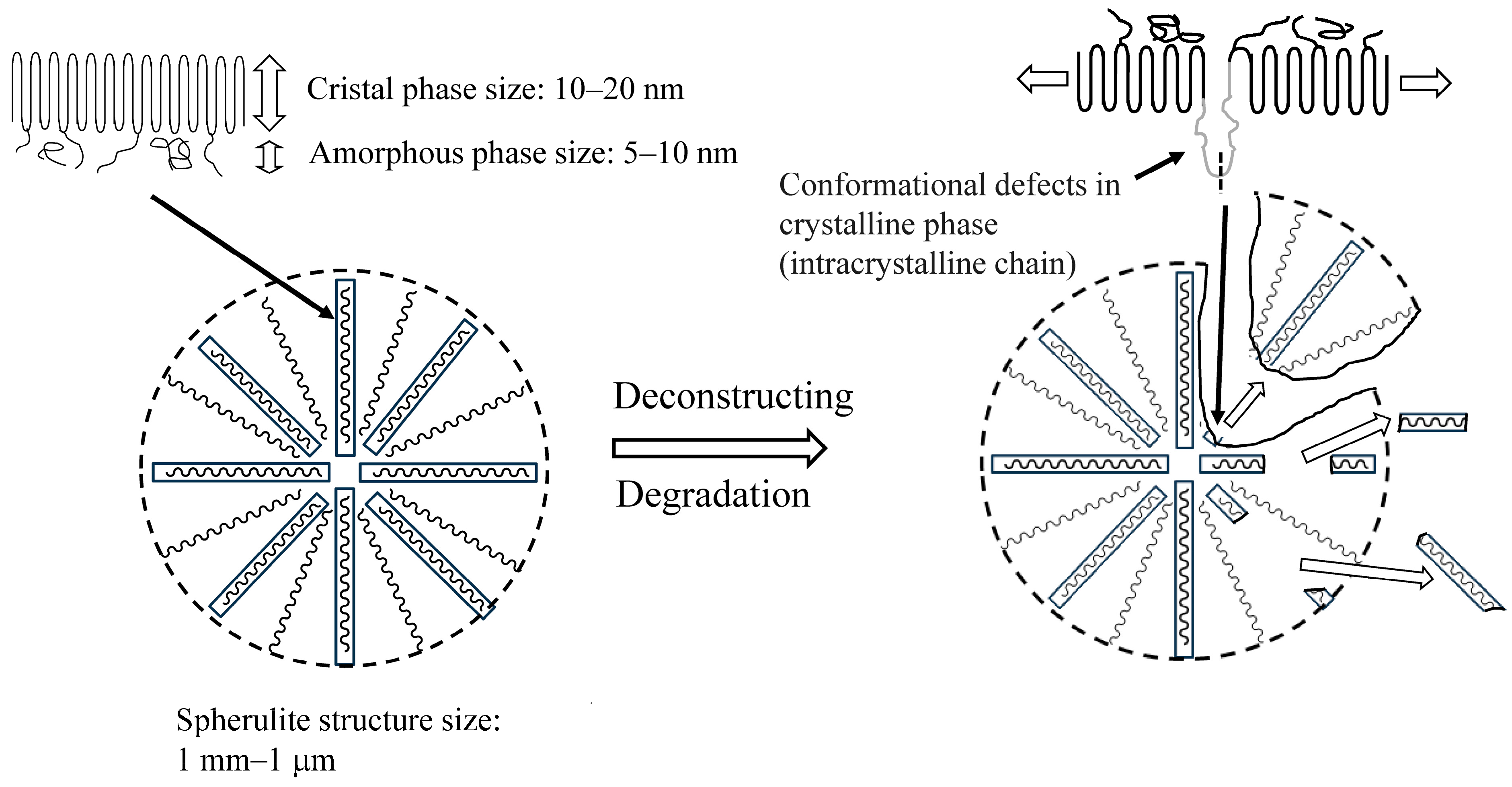 Molecules 30 00382 g003