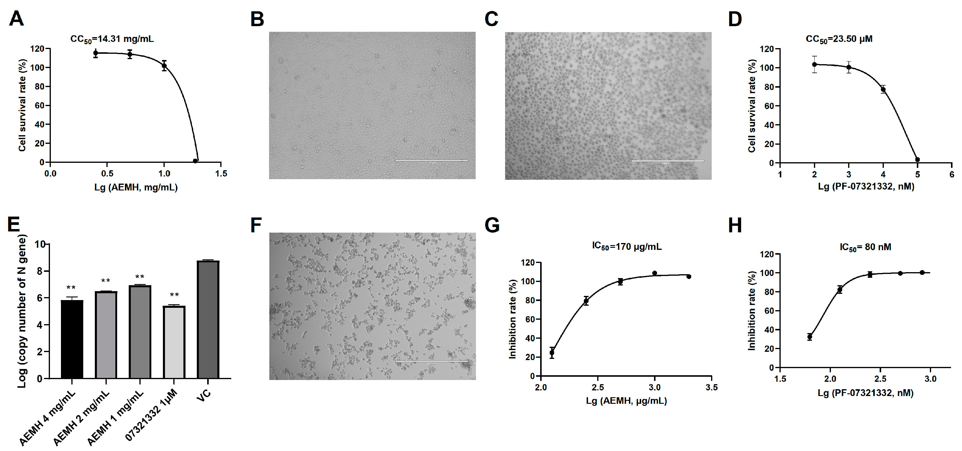 Molecules 30 00387 g001