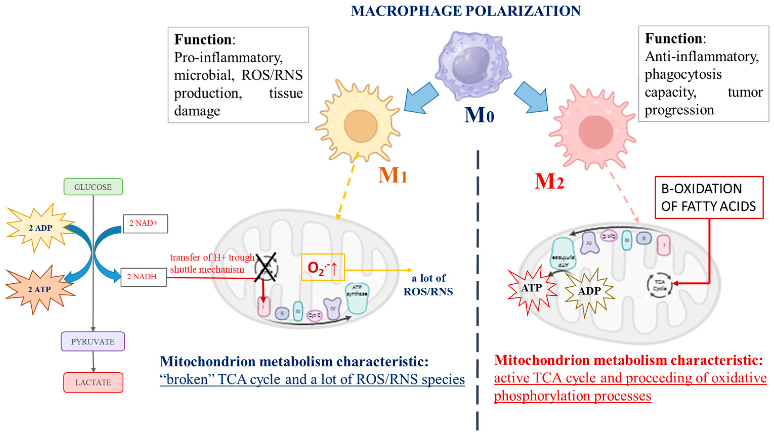 Molecules 30 00393 g001
