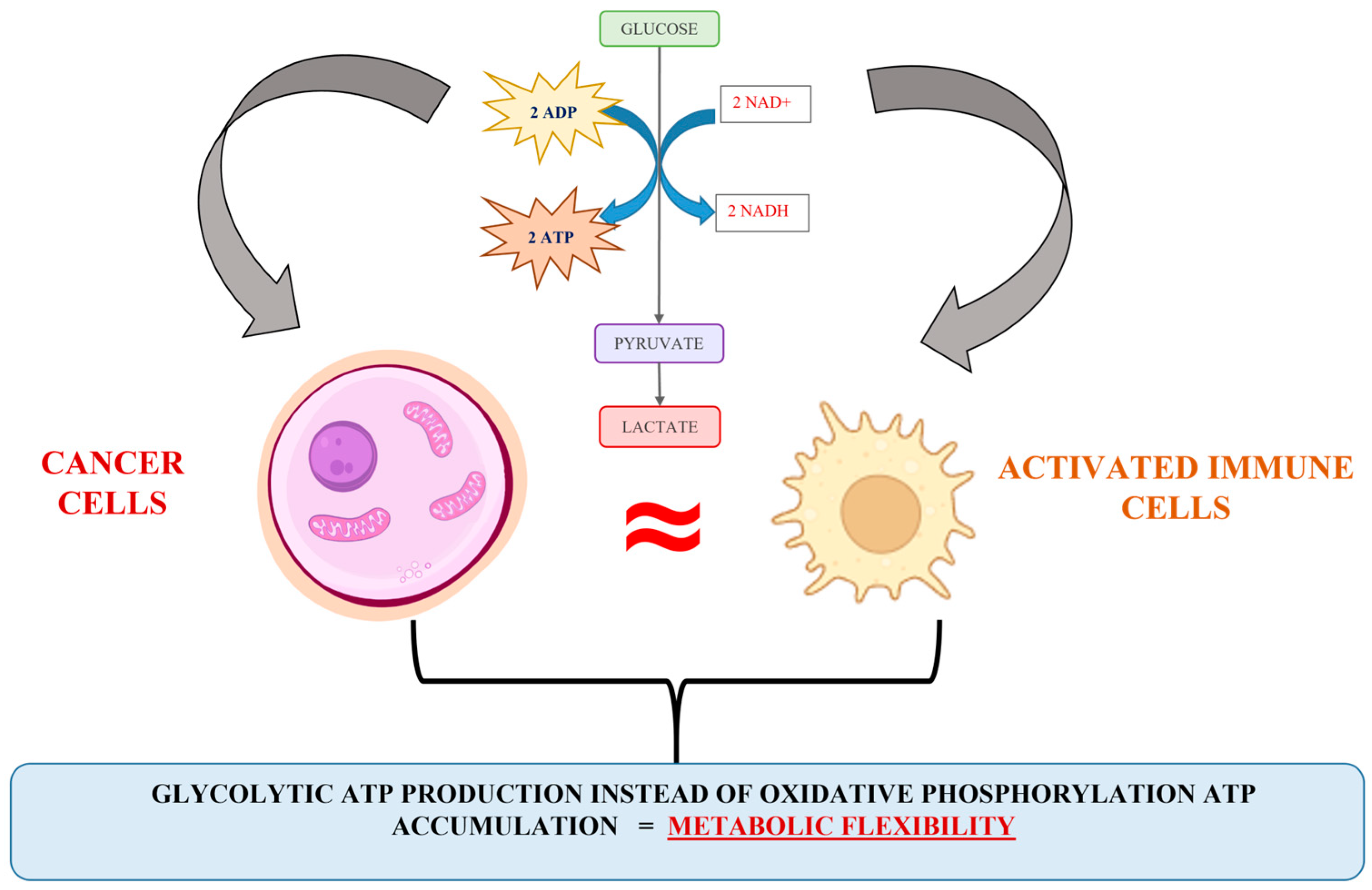 Molecules 30 00393 g002