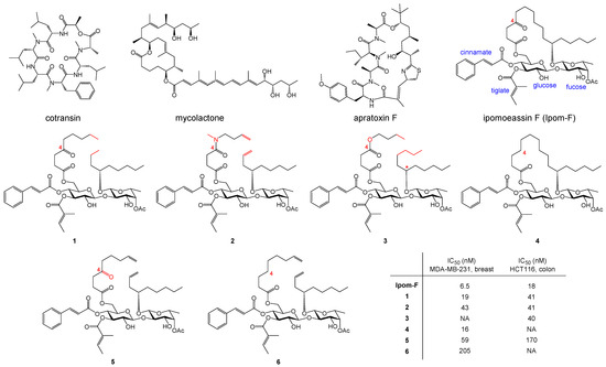 Molecules 30 00400 g001