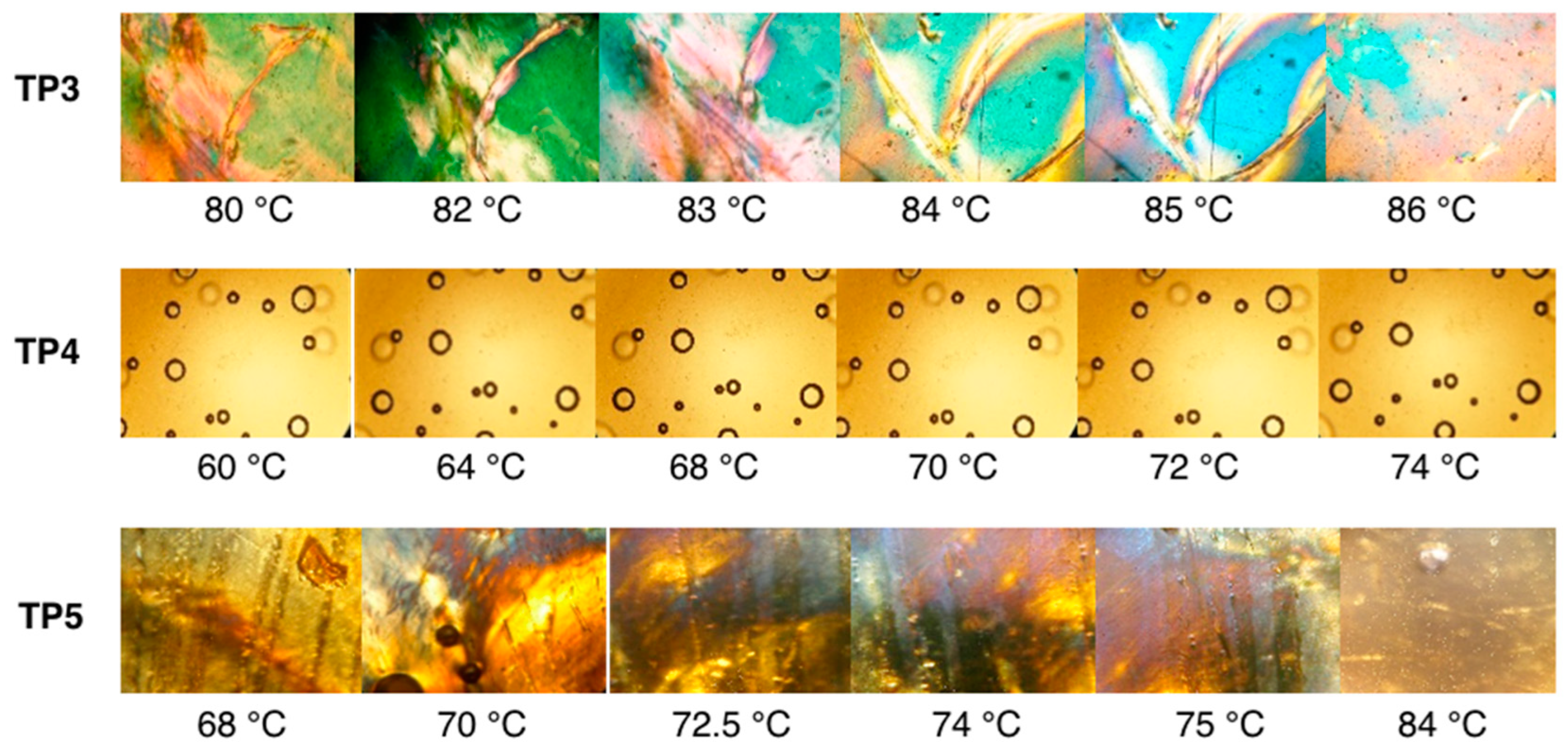 Molecules 30 00401 g002