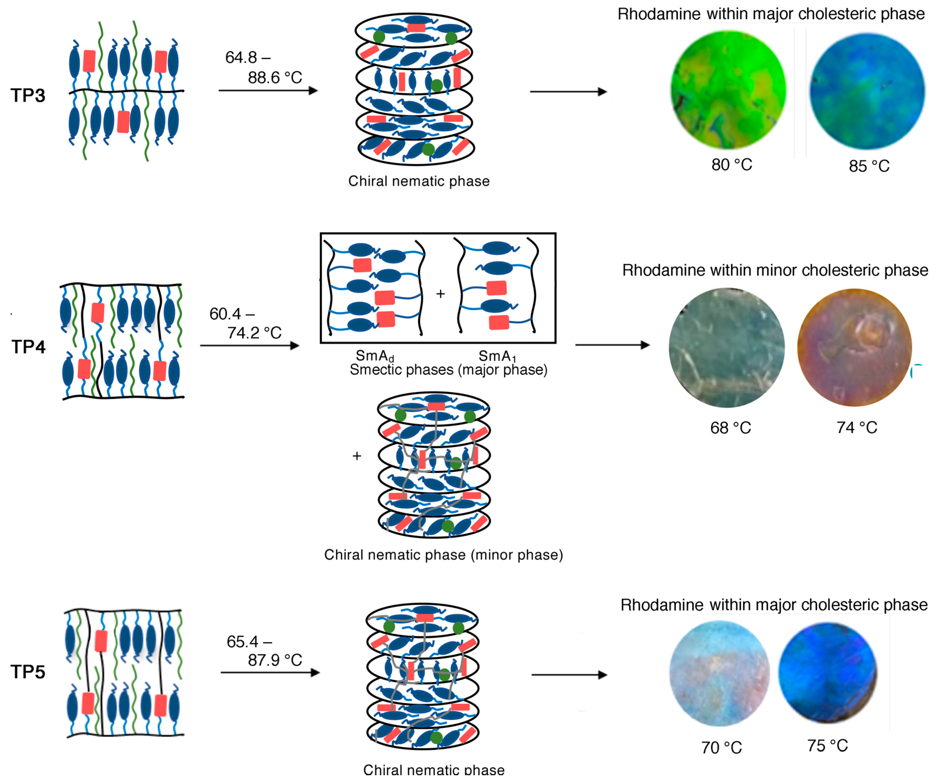 Molecules 30 00401 g004