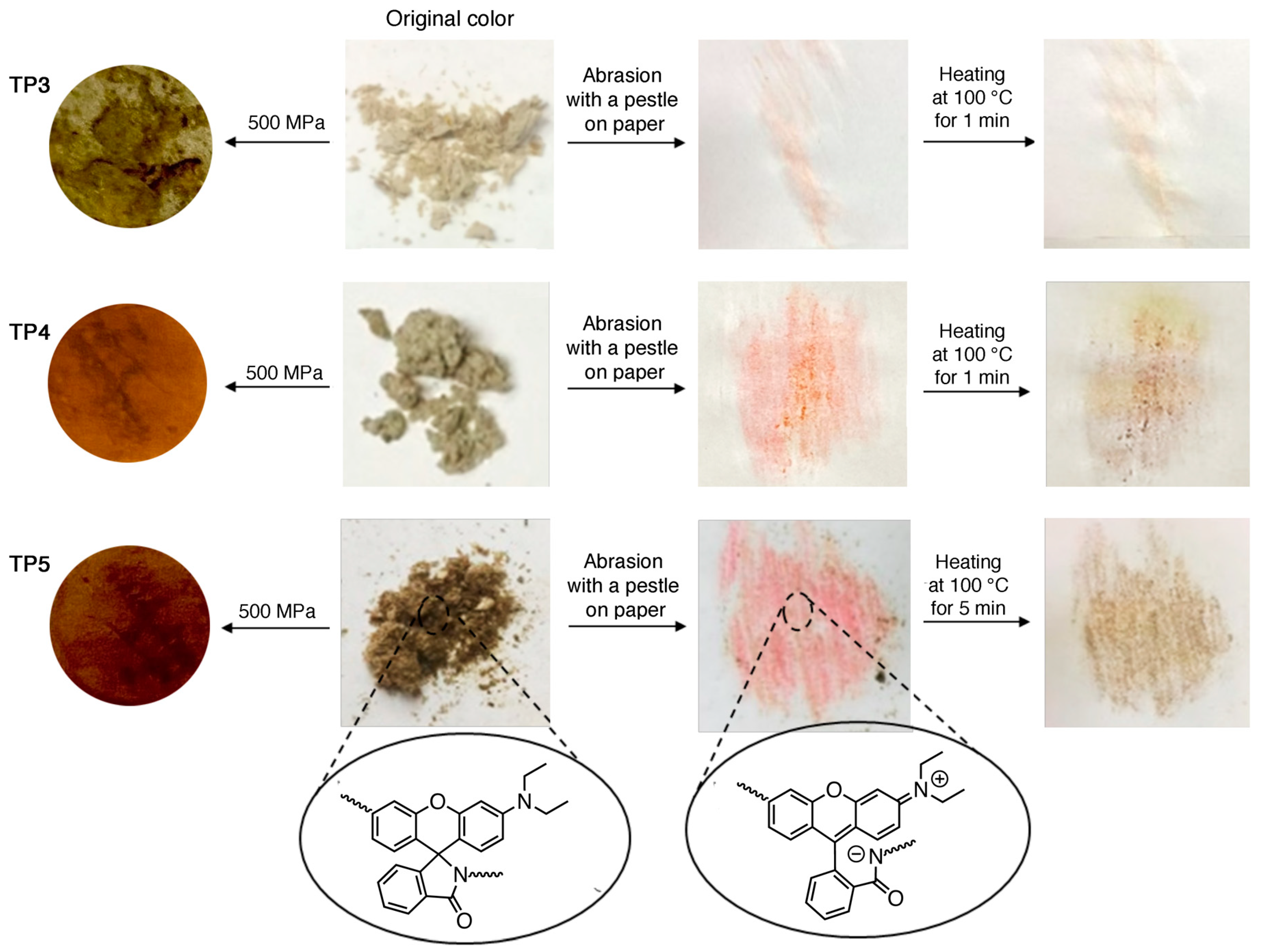 Molecules 30 00401 g005