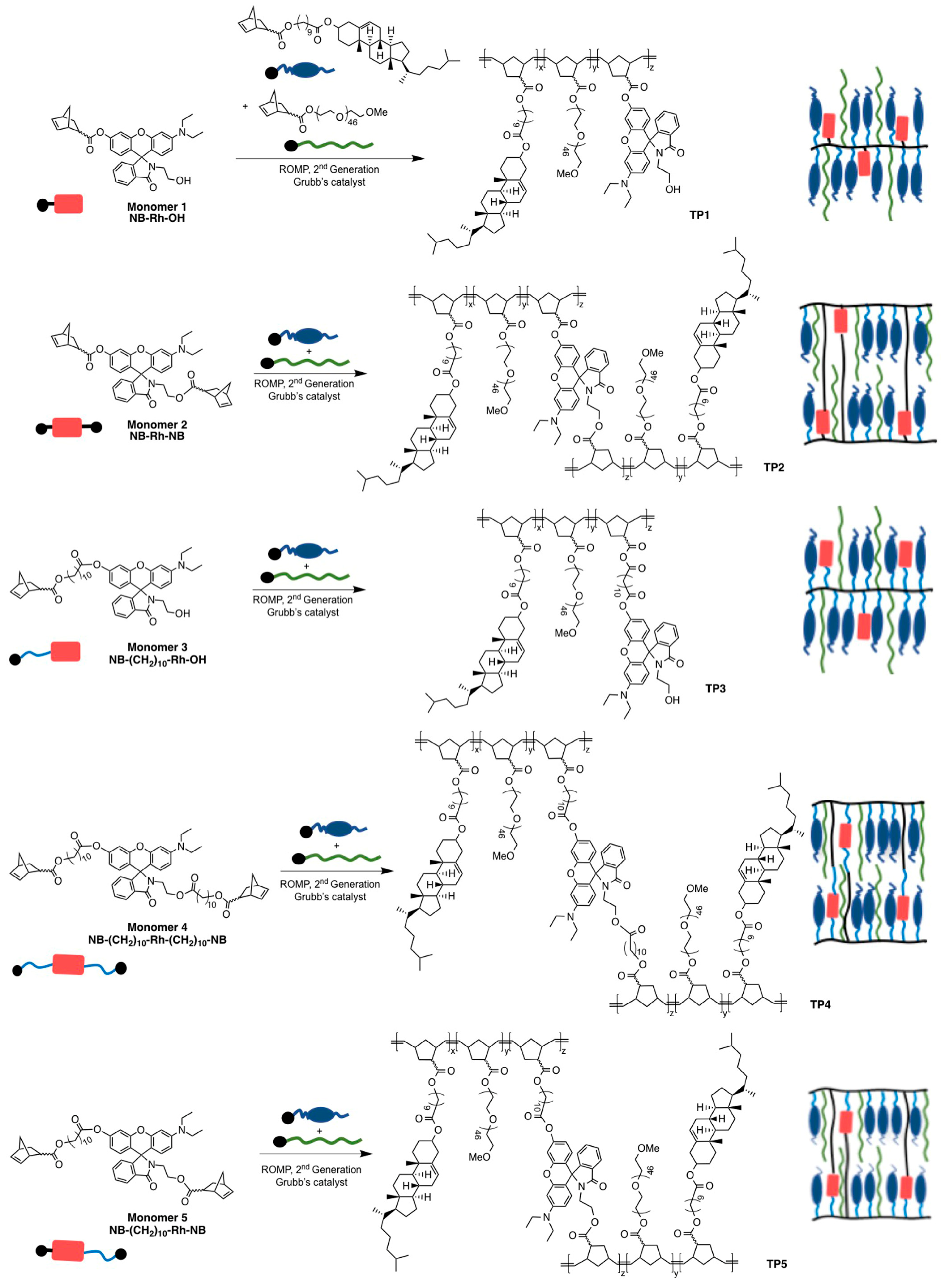 Molecules 30 00401 sch001