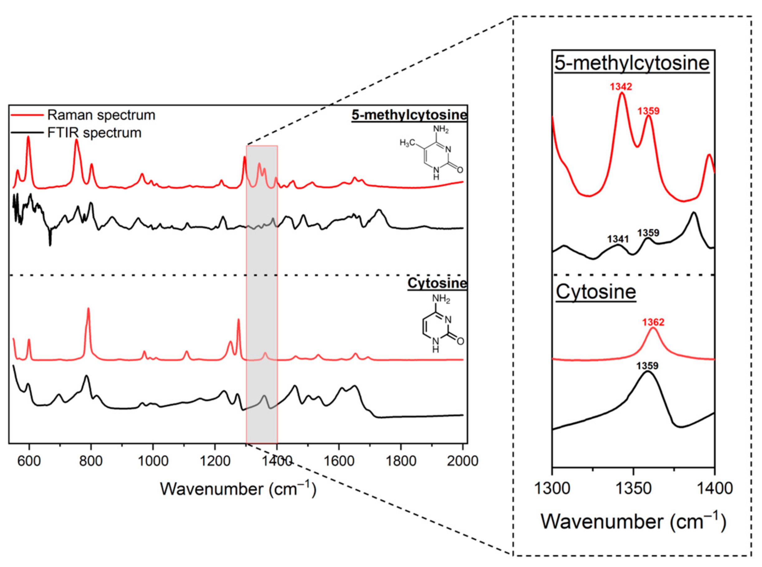 Molecules 30 00403 g003