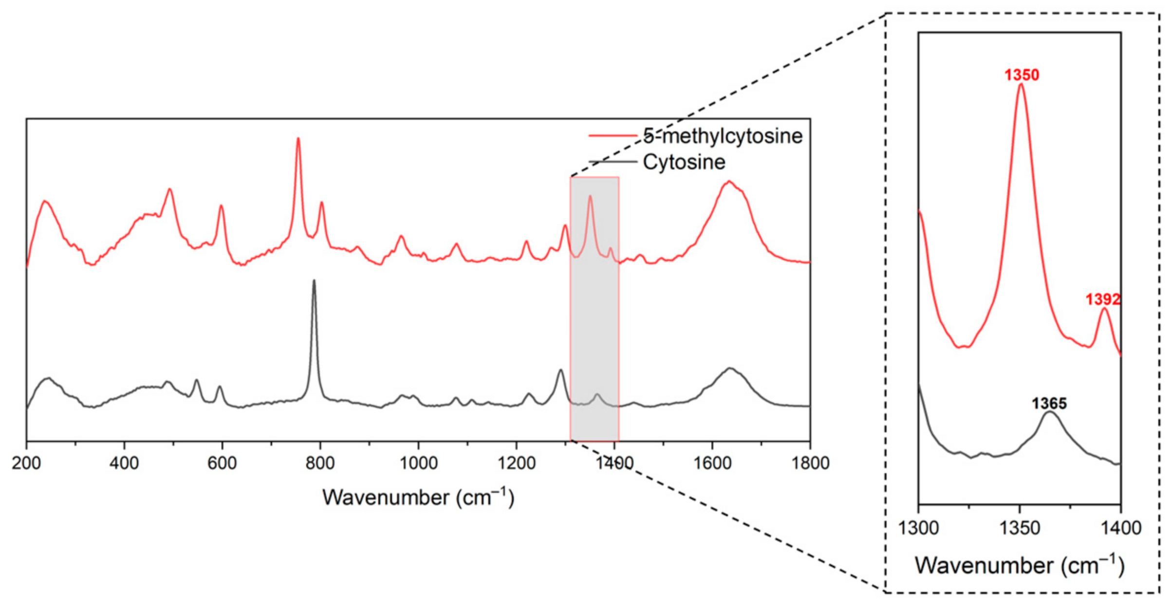 Molecules 30 00403 g004