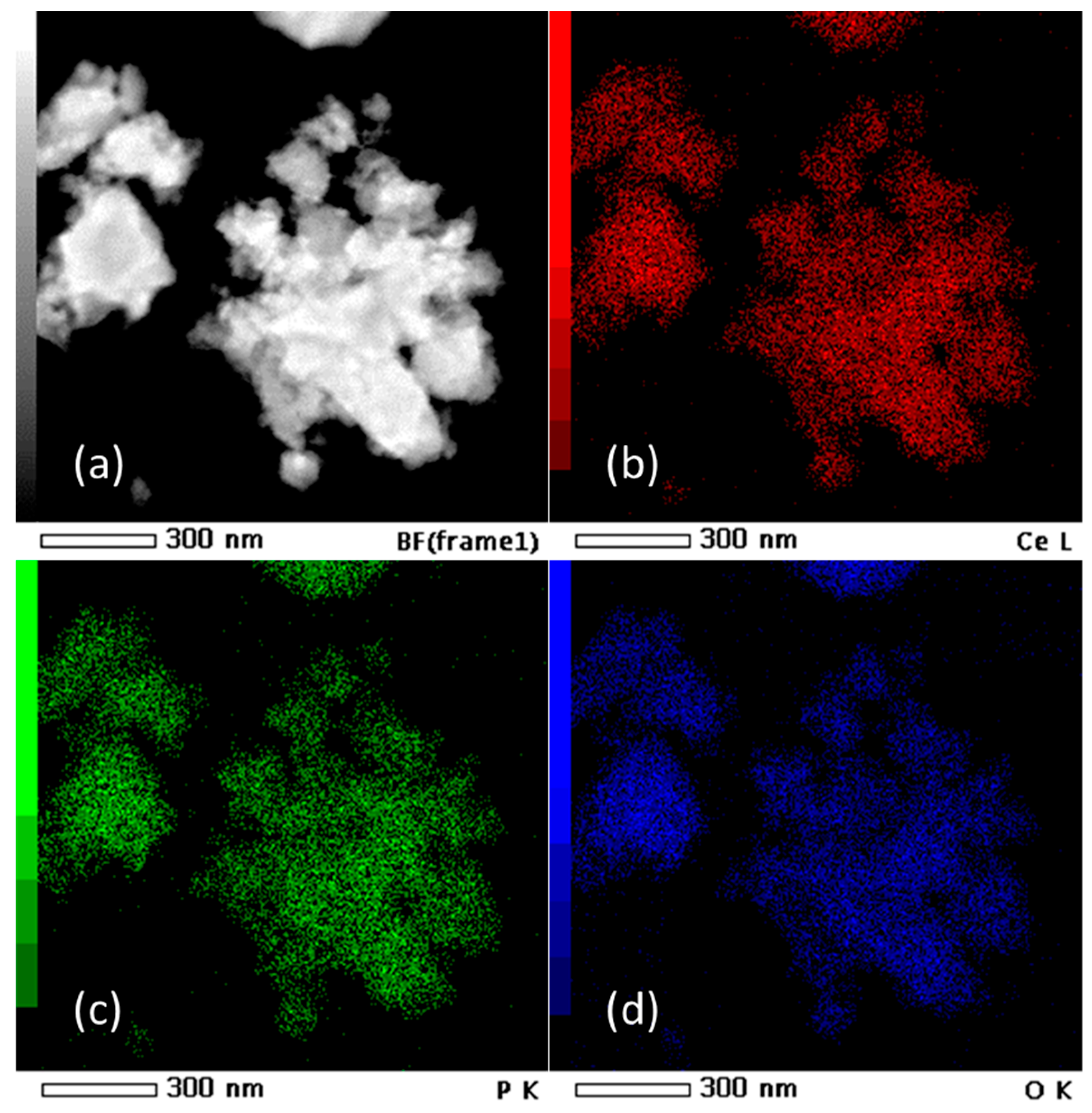 Molecules 30 00405 g003