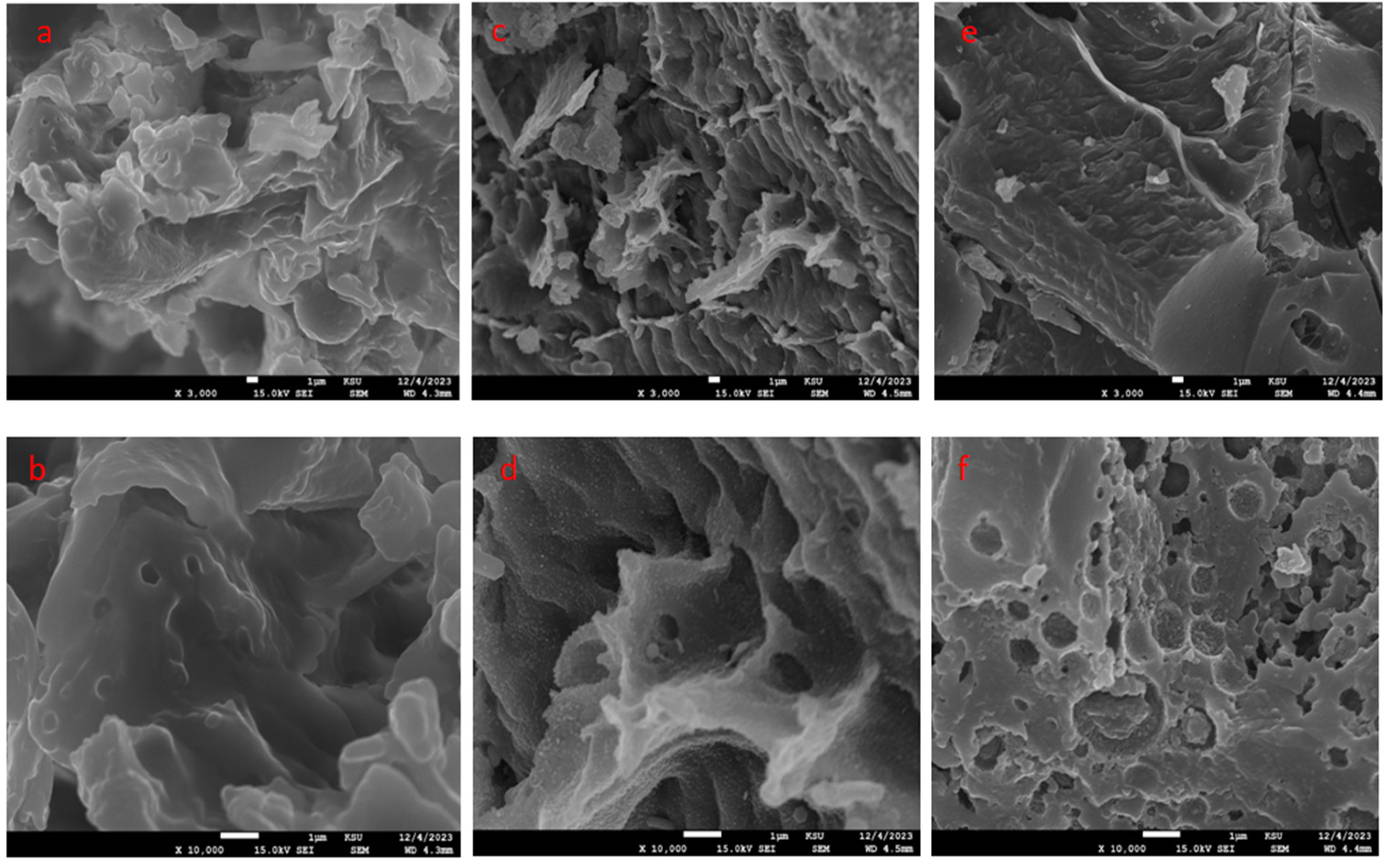 Molecules 30 00407 g001 Molecules 30 00407 g001