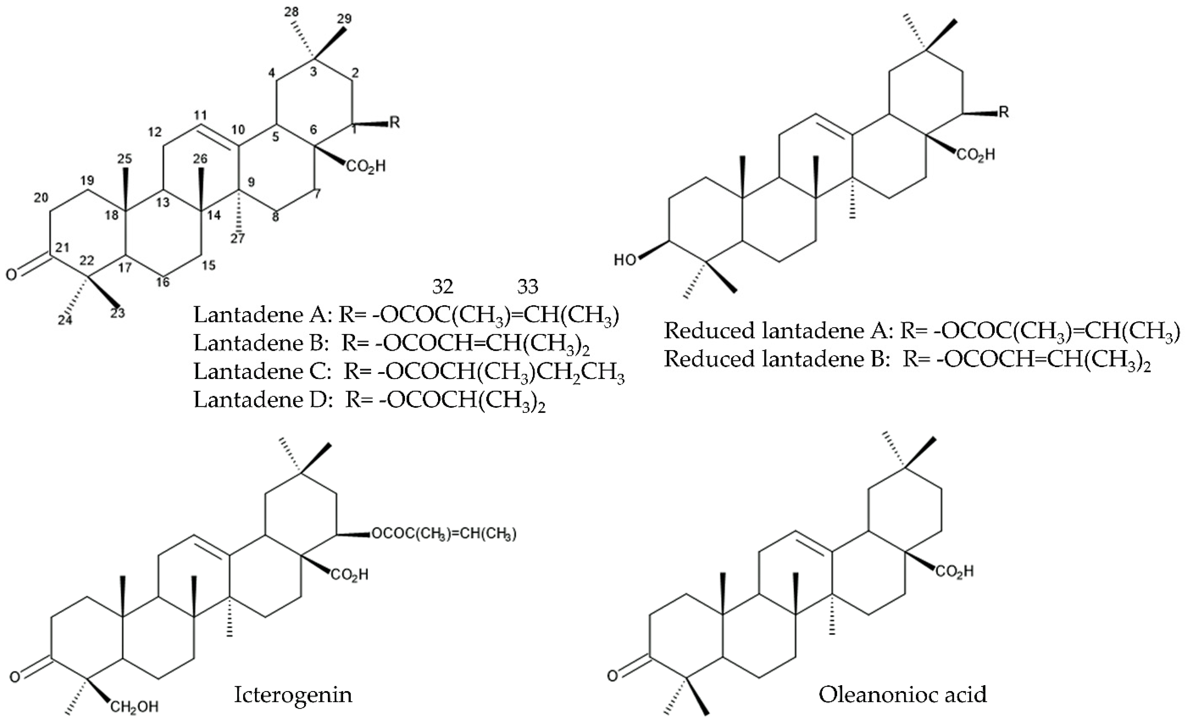 Molecules 30 00411 g003