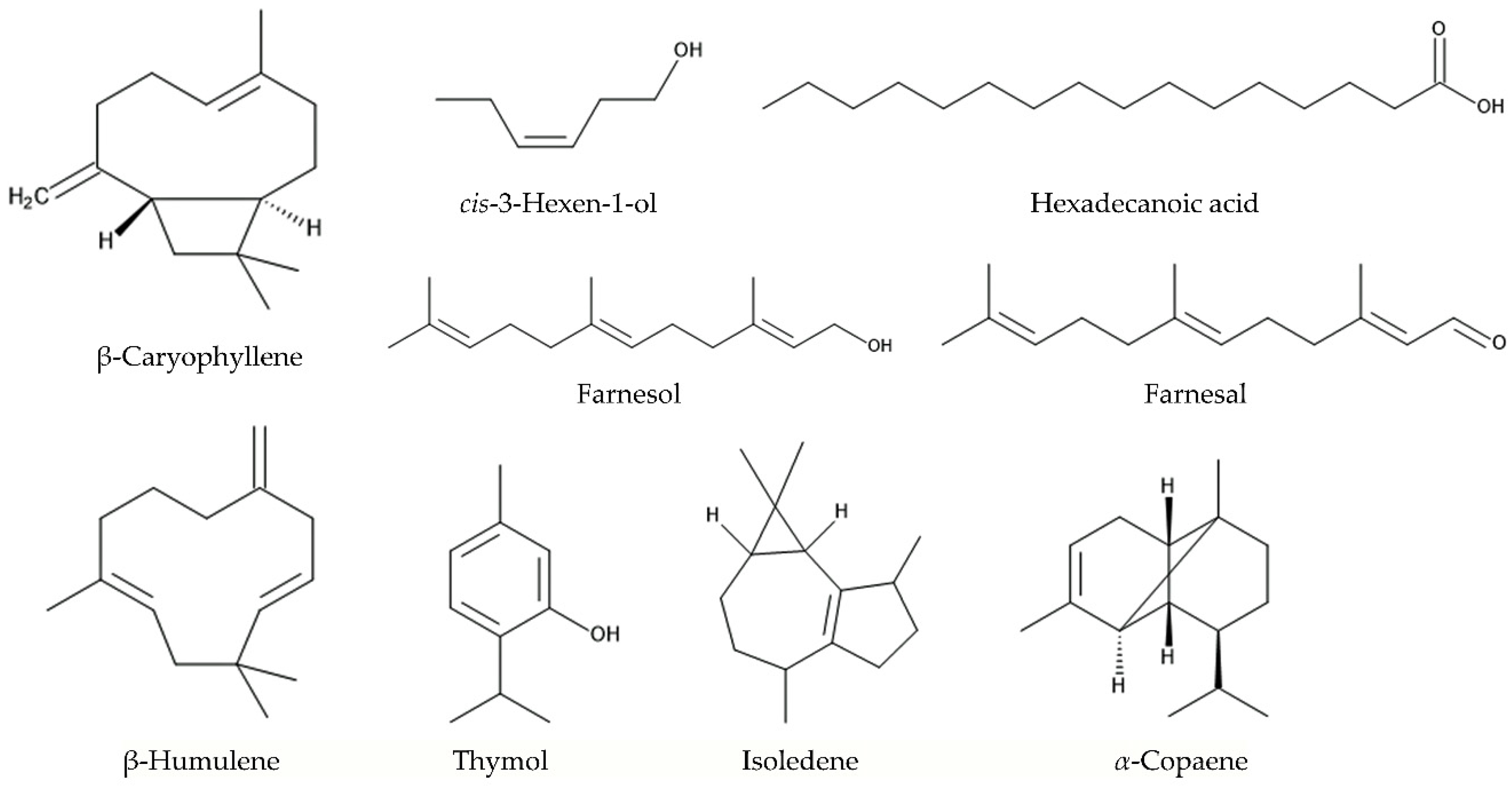 Molecules 30 00411 g004