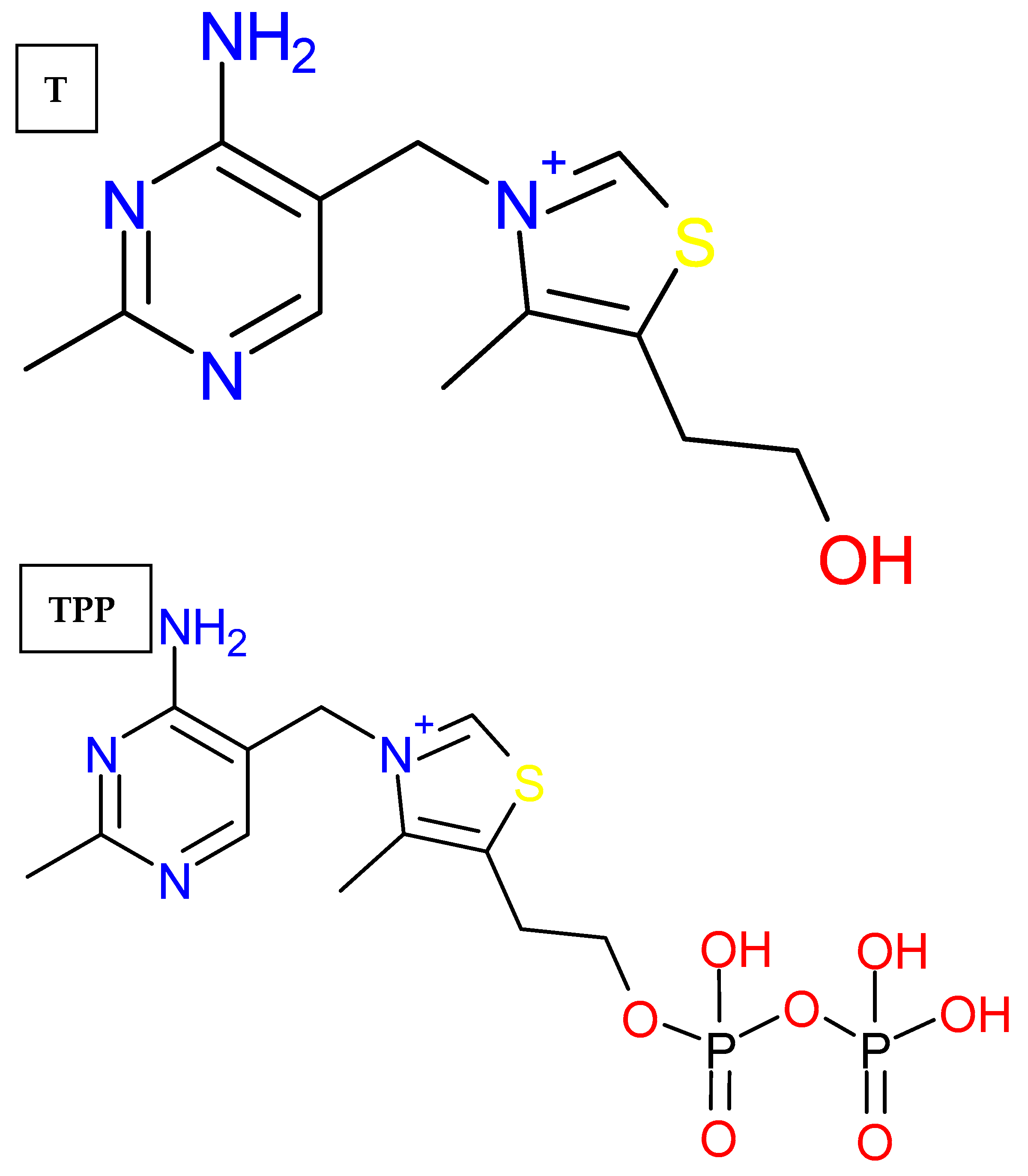 Molecules 30 00412 g001