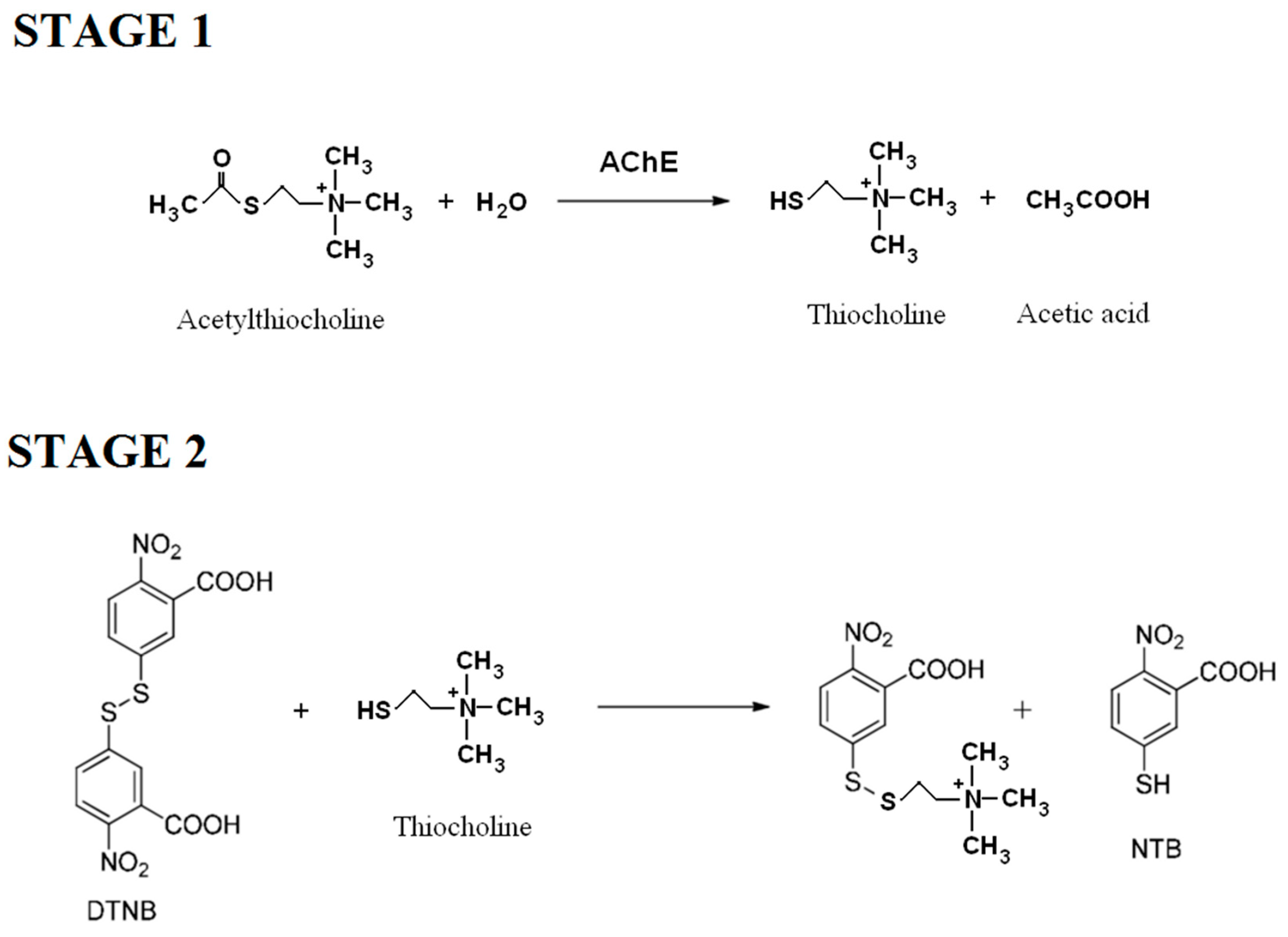 Molecules 30 00412 g009
