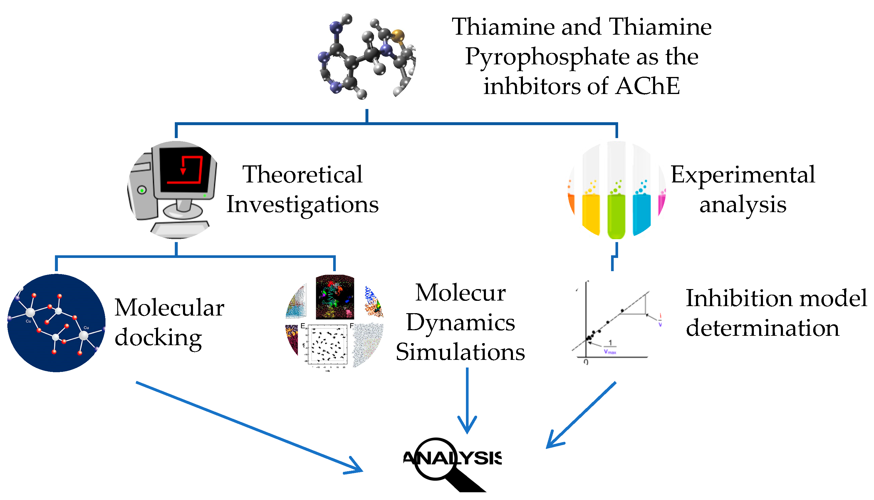Molecules 30 00412 sch001