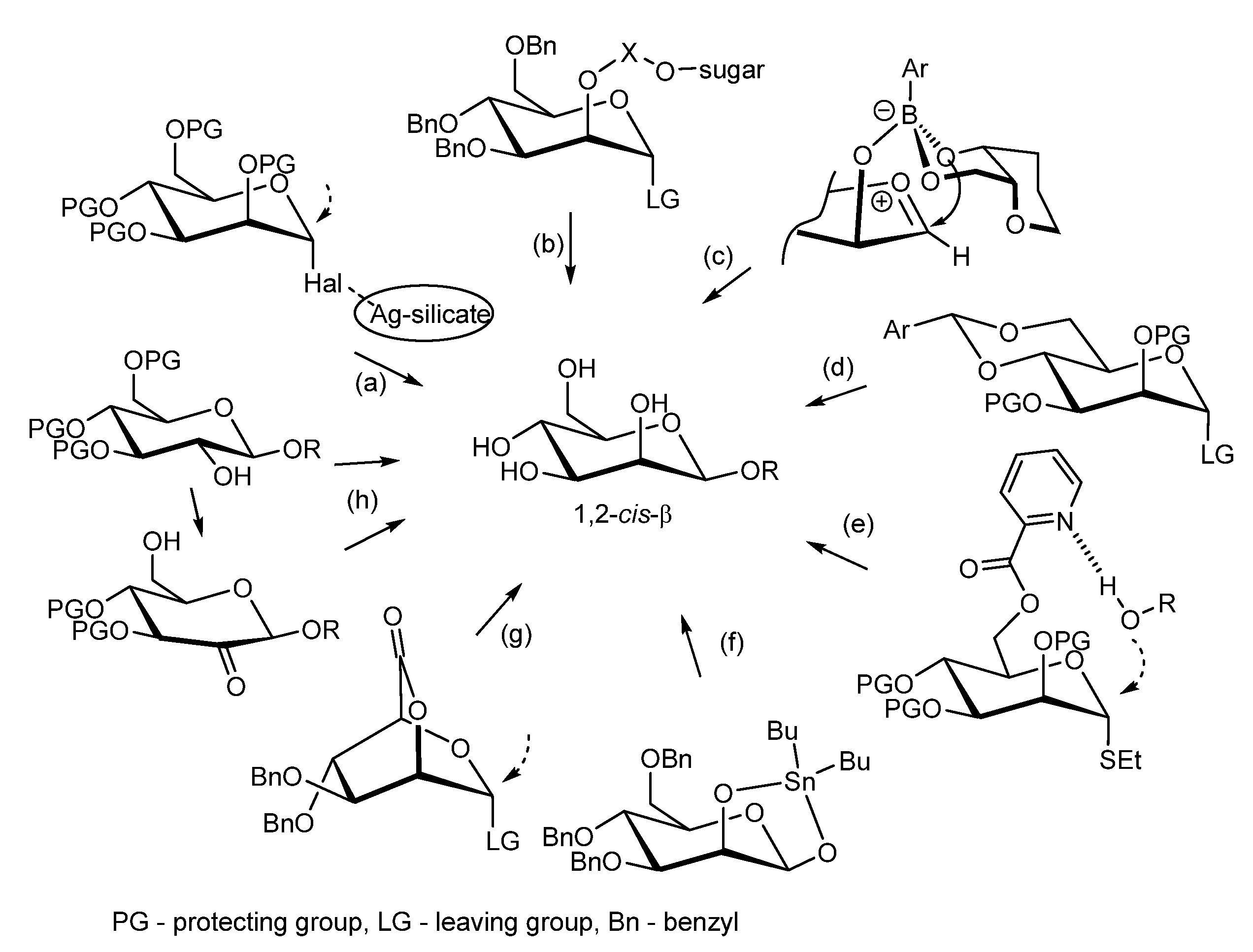 Molecules 30 00414 sch001
