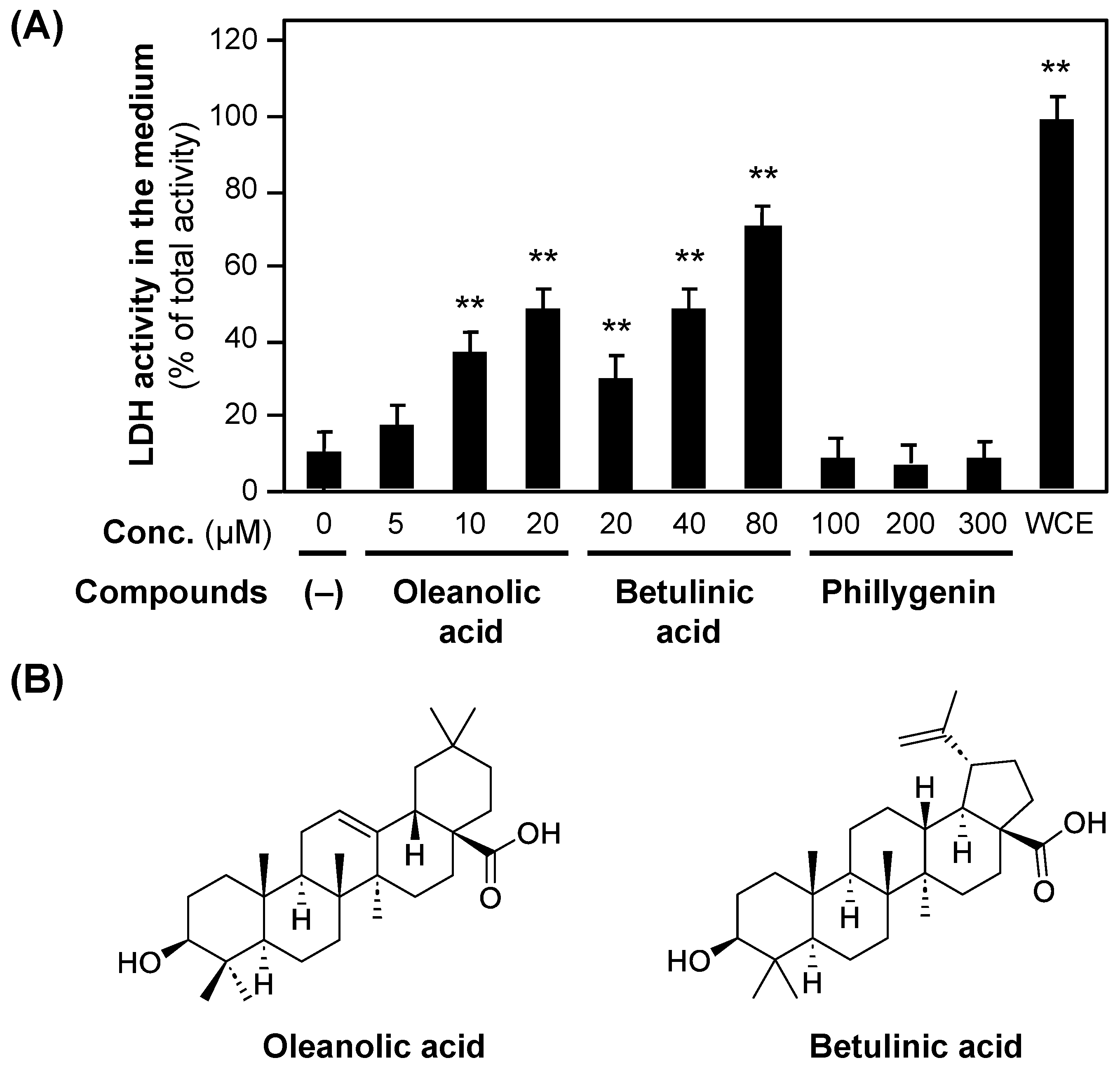 Molecules 30 00416 g006