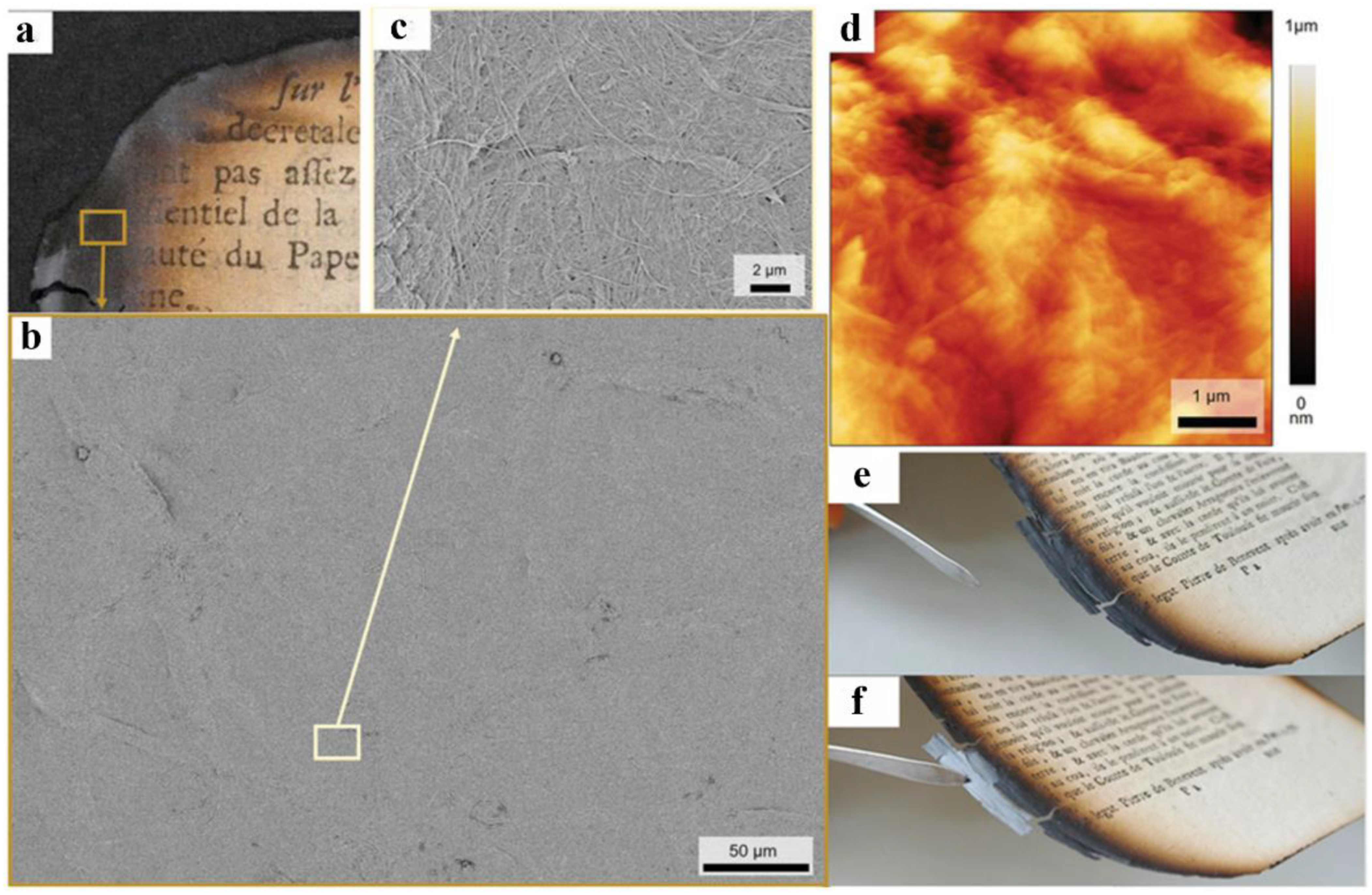 Molecules 30 00417 g004