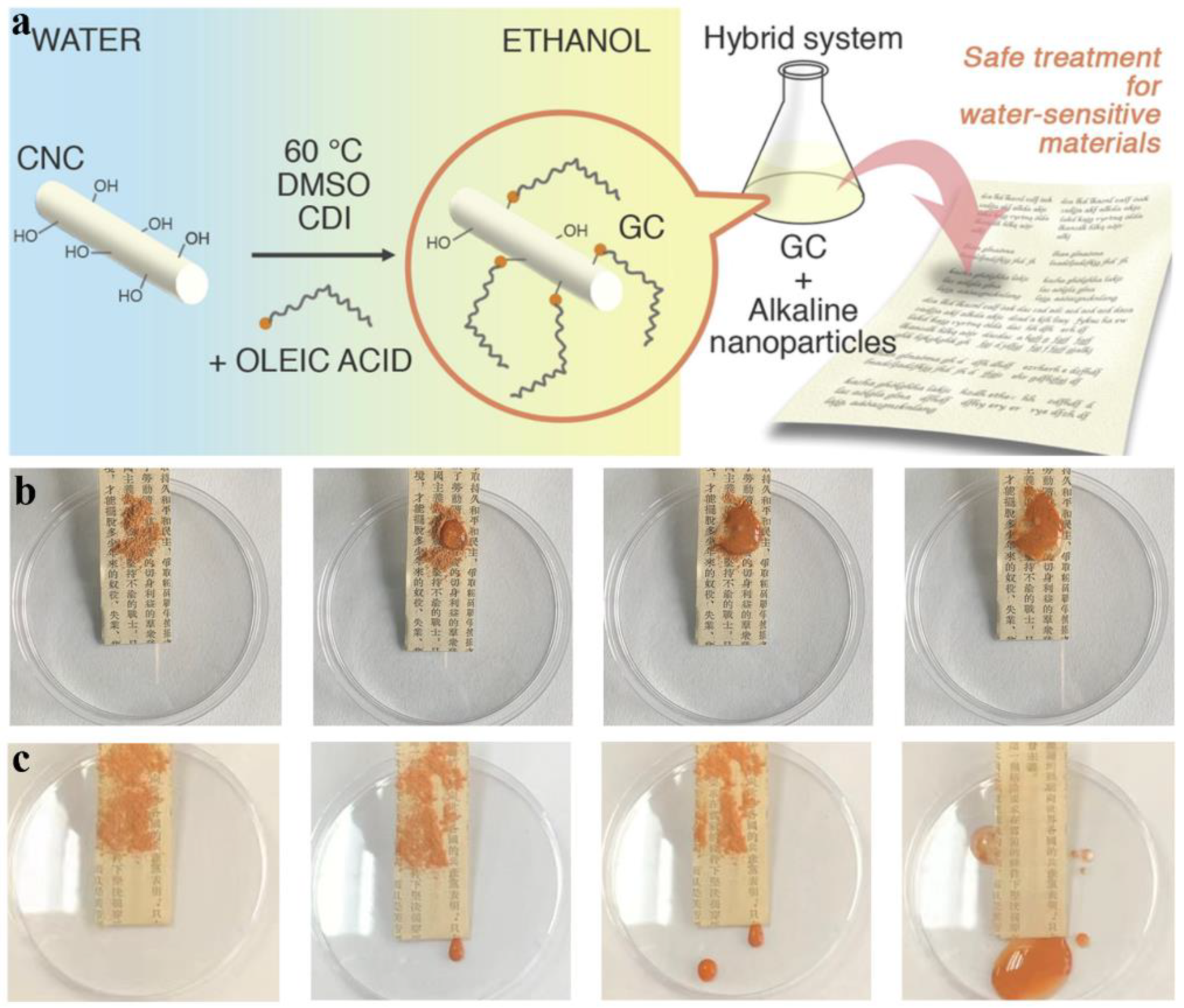 Molecules 30 00417 g006
