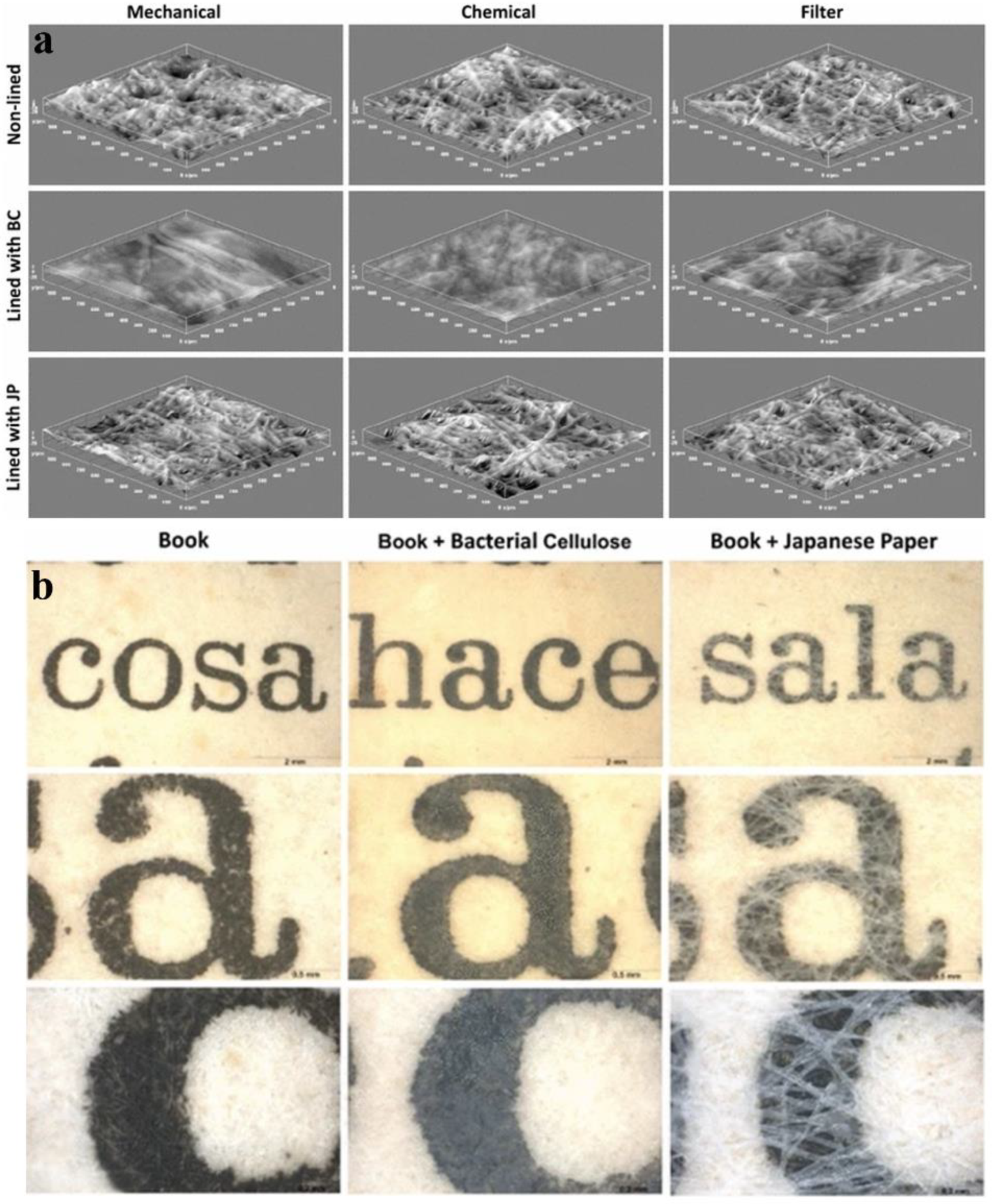 Molecules 30 00417 g008