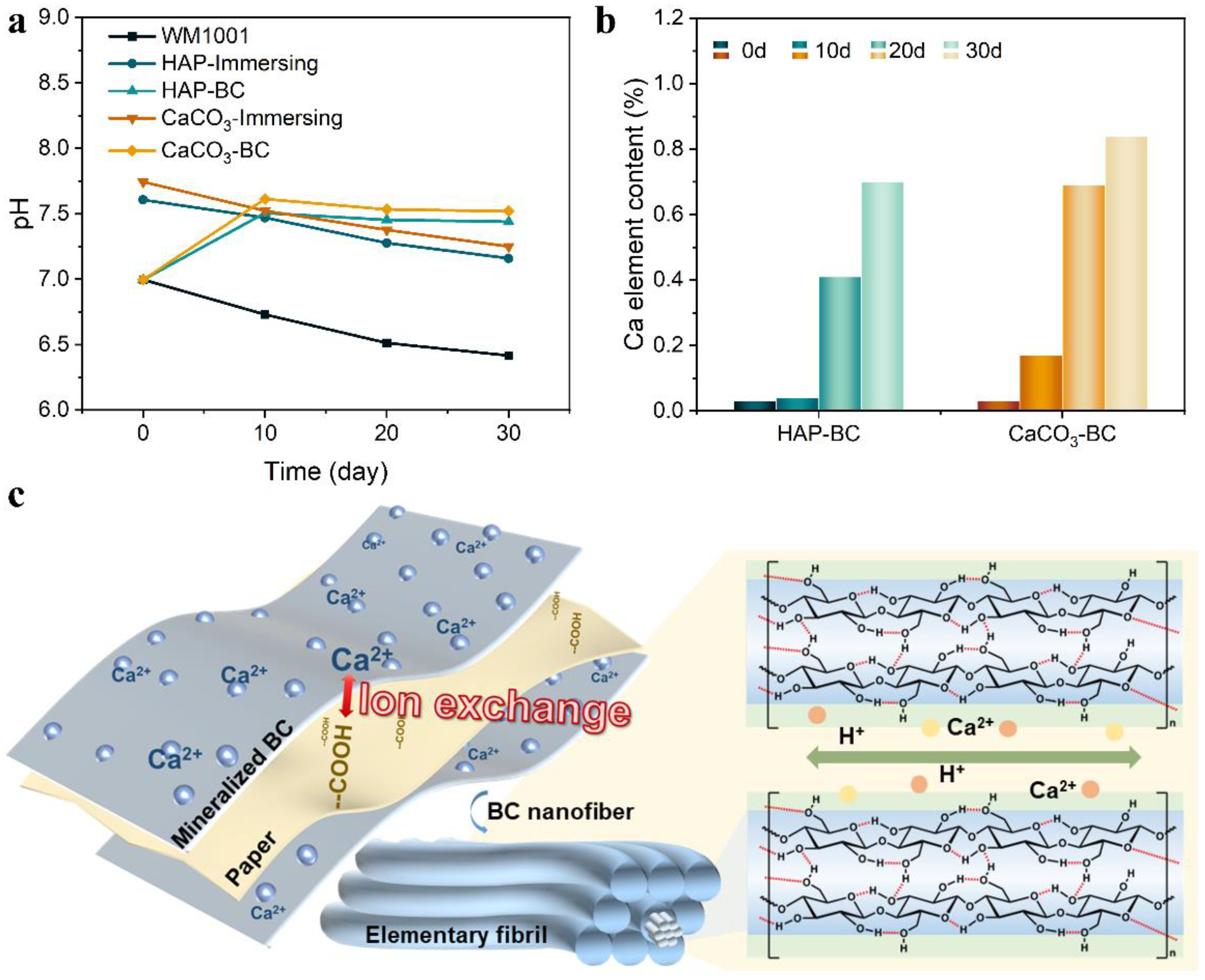 Molecules 30 00417 g009