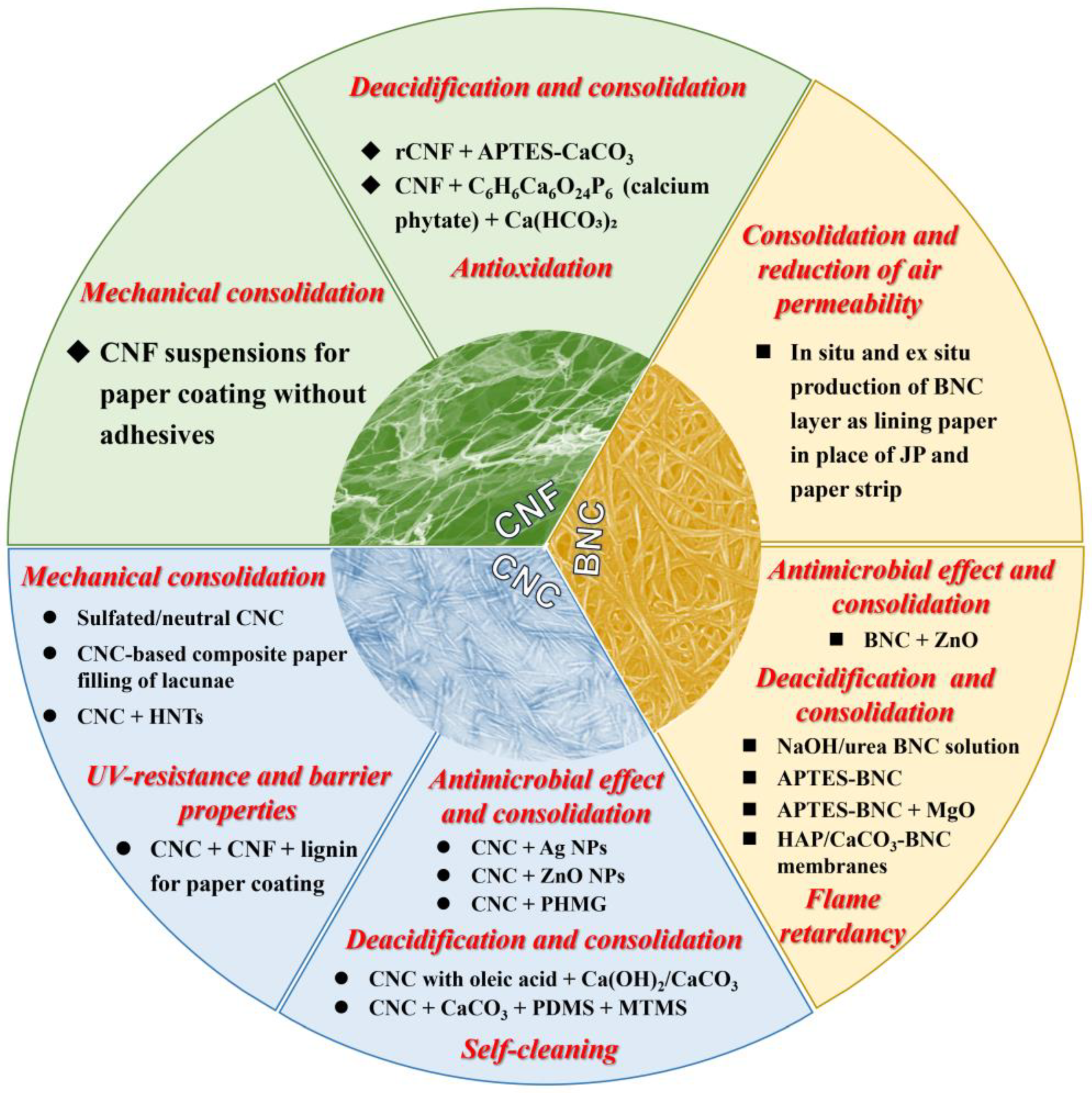Molecules 30 00417 sch001