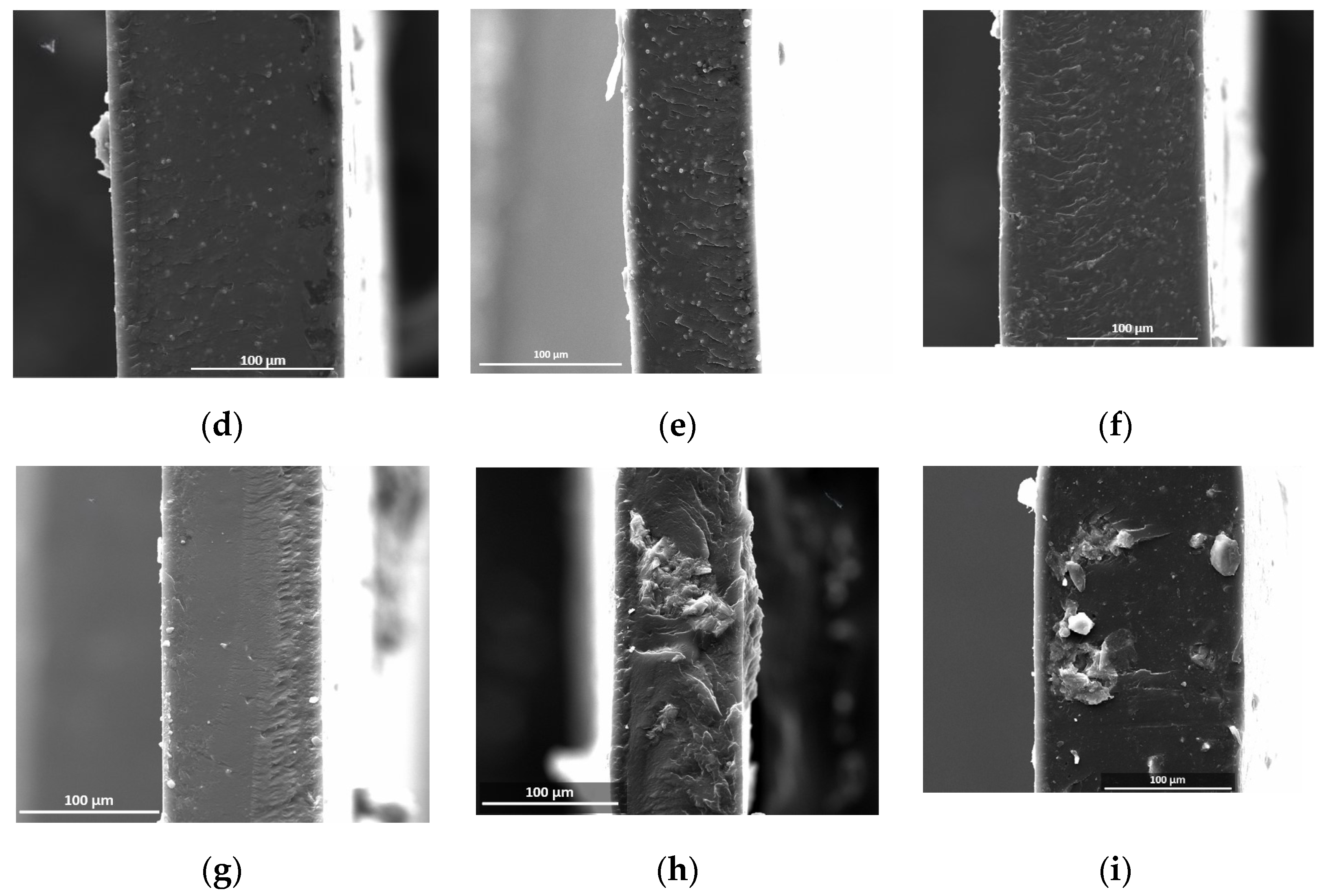 Molecules 30 00420 g002b